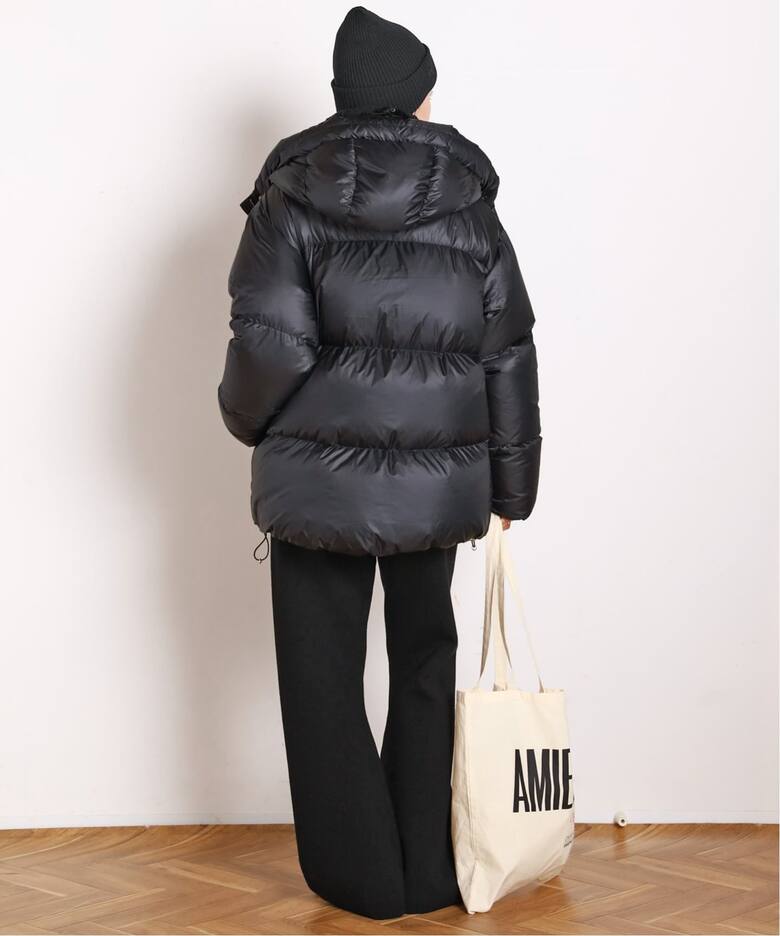 Goldwin /ゴールドウィン】別注PERTEX QUANTUM Down Parka（その他 