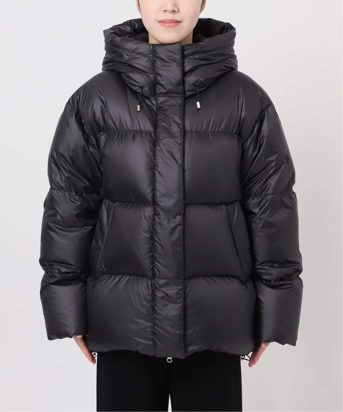 Goldwin /ゴールドウィン】別注PERTEX QUANTUM Down Parka（その他