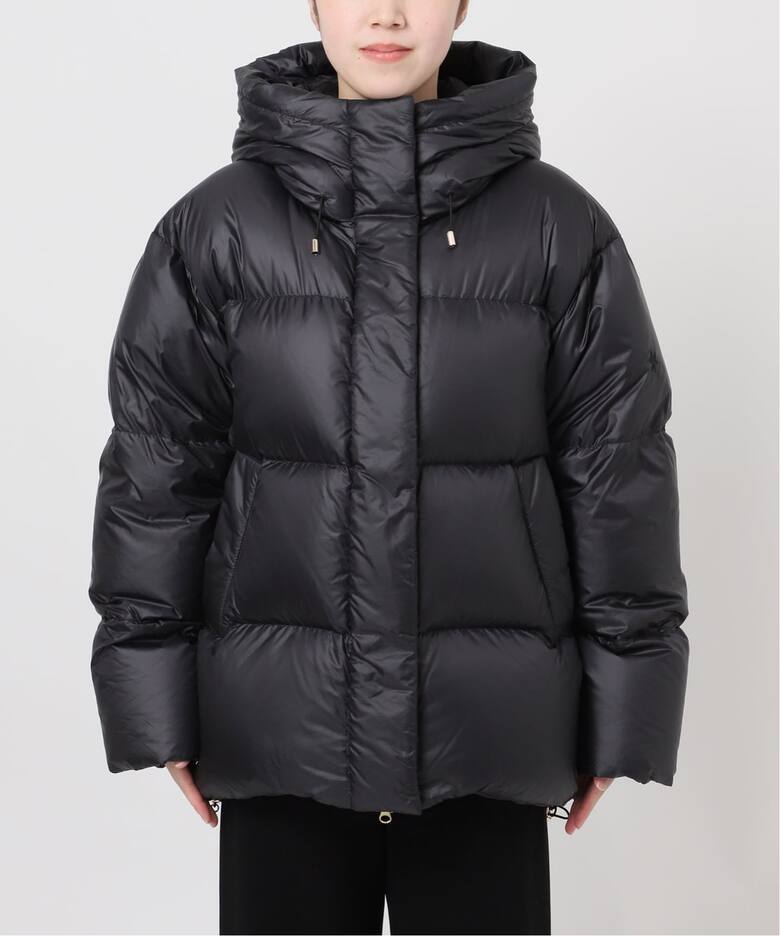 Goldwin /ゴールドウィン】別注PERTEX QUANTUM Down Parka（その他 