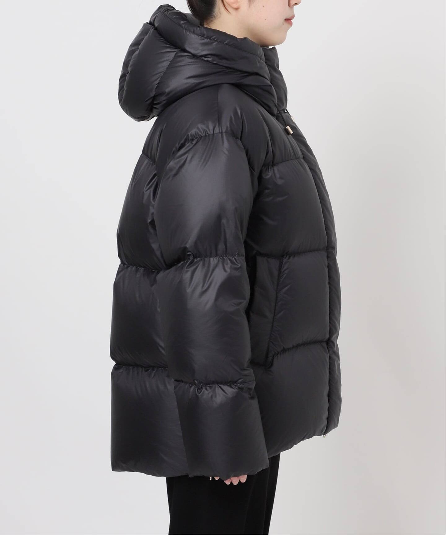 Goldwin /ゴールドウィン】別注PERTEX QUANTUM Down Parka（その他
