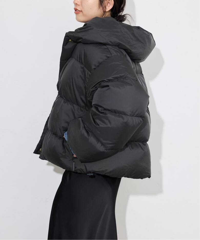 TRADITIONAL WEATHERWEAR SLOBE別注 HASELEY DOWN PA（ダウン 