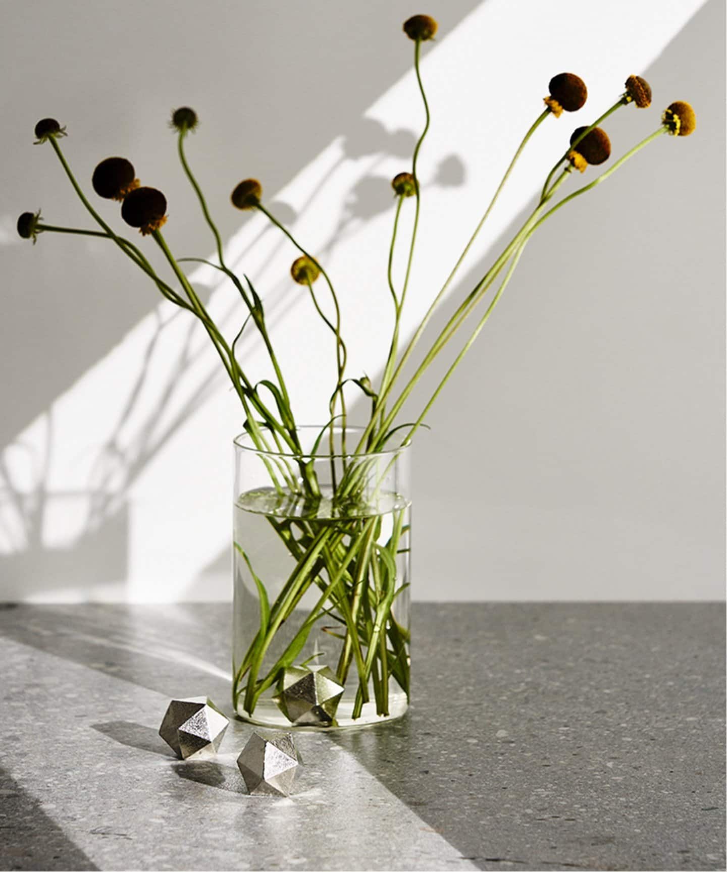 JOURNAL STANDARD FURNITURE｜ジャーナルスタンダード ファニチャーの