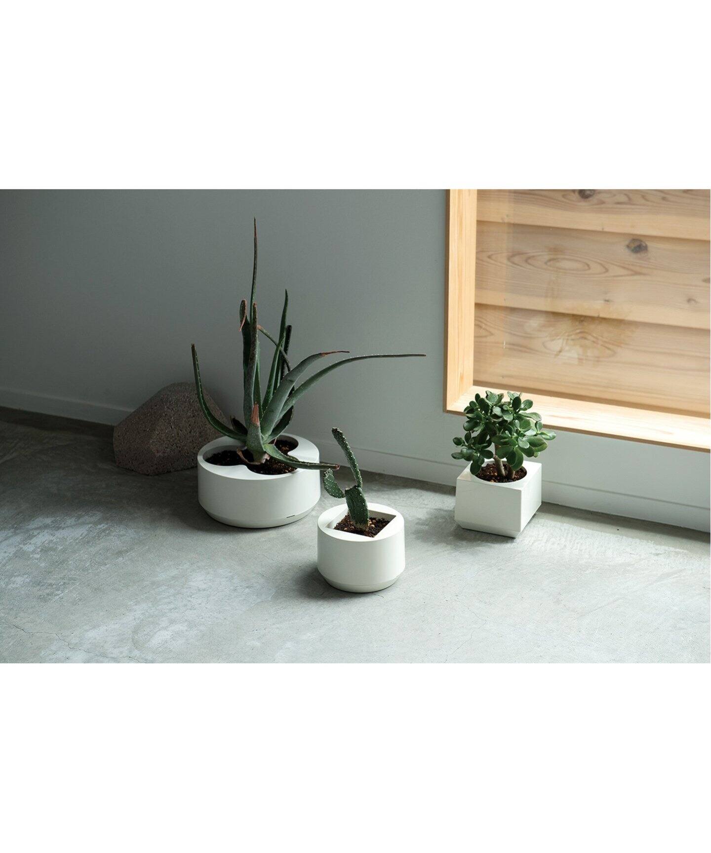 Masanori Umeda】 PLANTER CUBIC プランター（フラワーベース