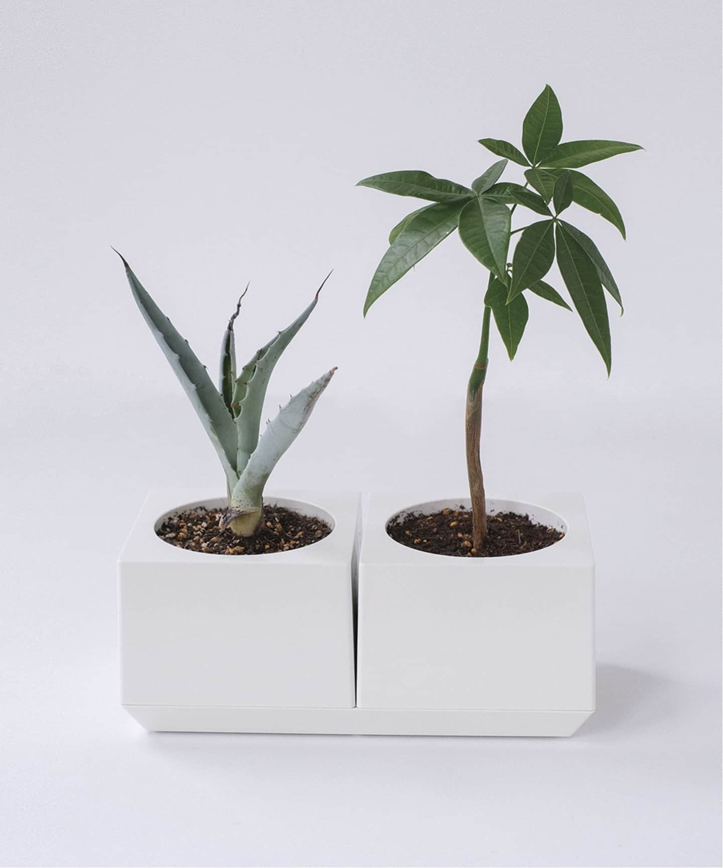 JOURNAL STANDARD FURNITURE｜ジャーナルスタンダード ファニチャーの