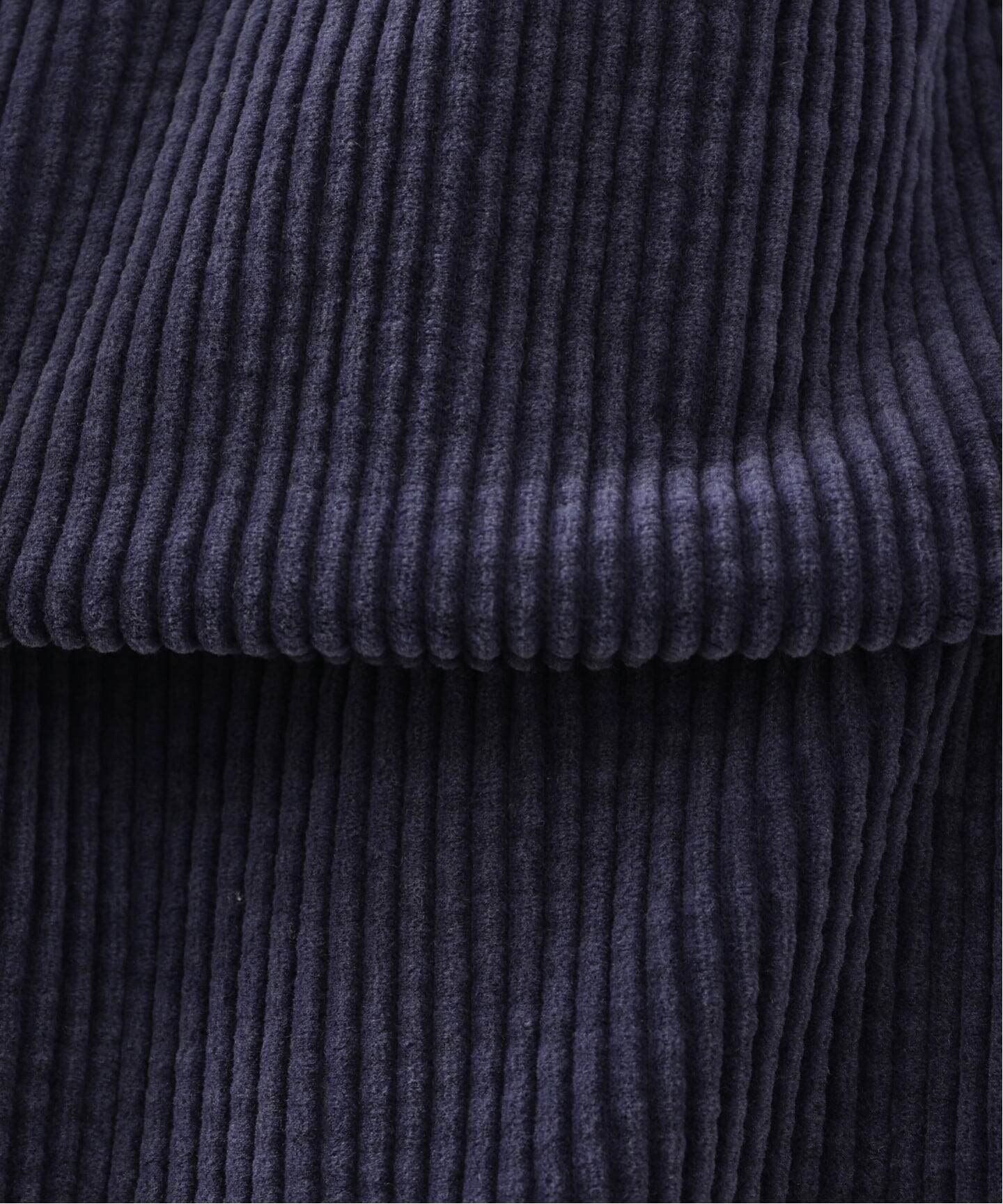 5Wコール フェロペインターパンツ（その他パンツ）｜journal standard