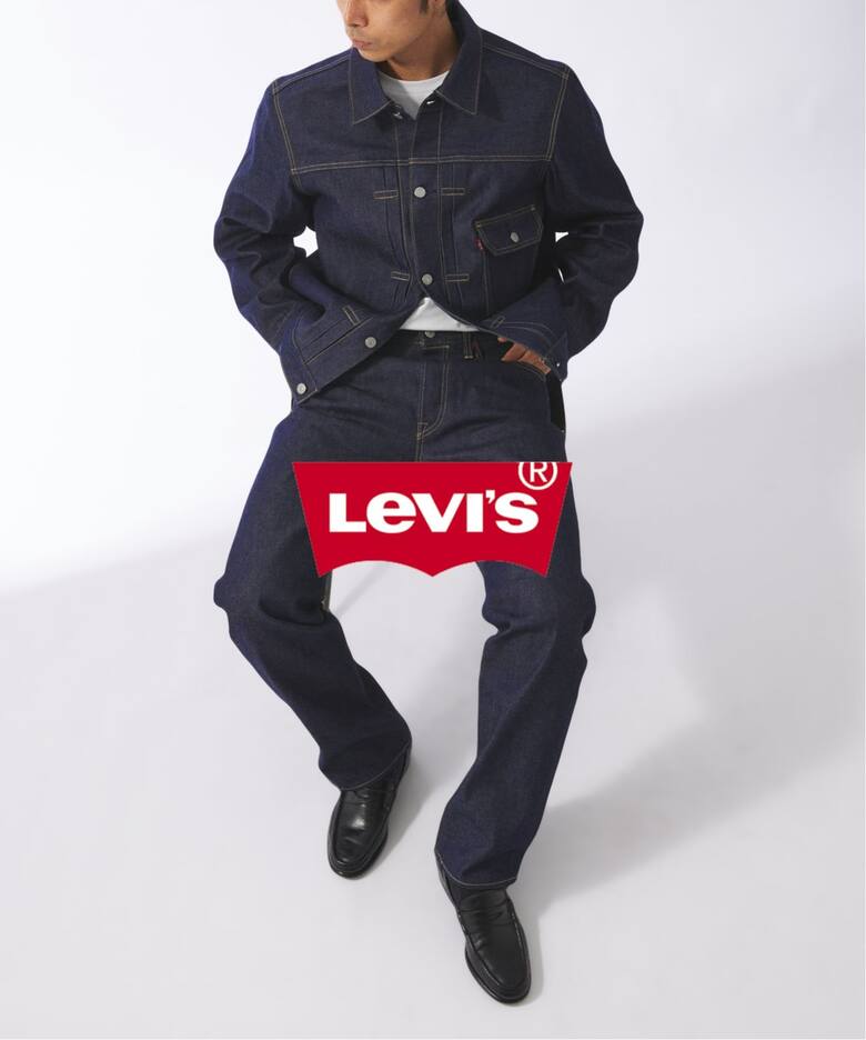 L30】LEVI