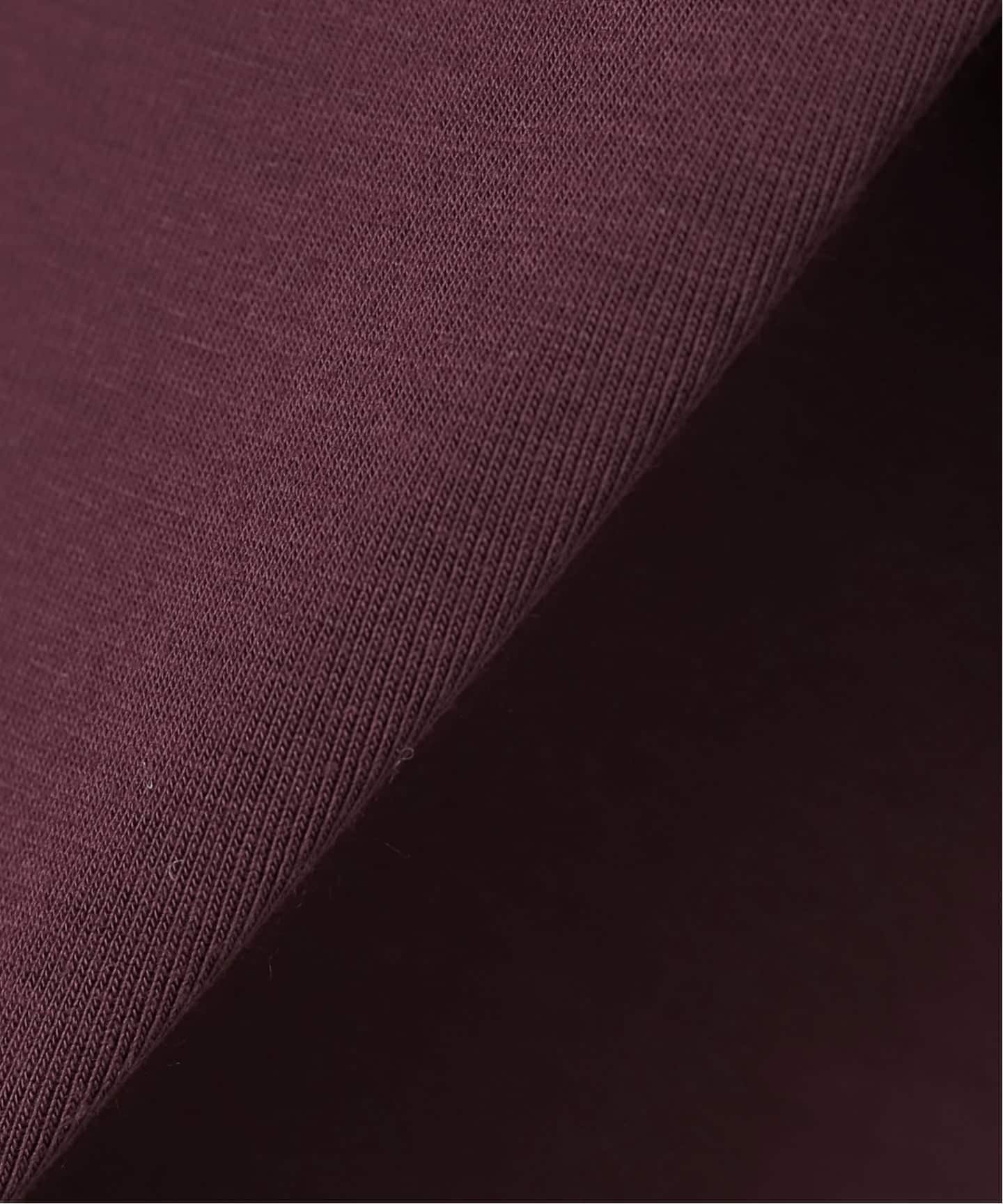 Deuxieme Classe 【TIBI/ティビ】シアー　ブラウス　トップス TIBI/ティビ】SHIRTING GABE SHIRT（シャツ／ブラウス
