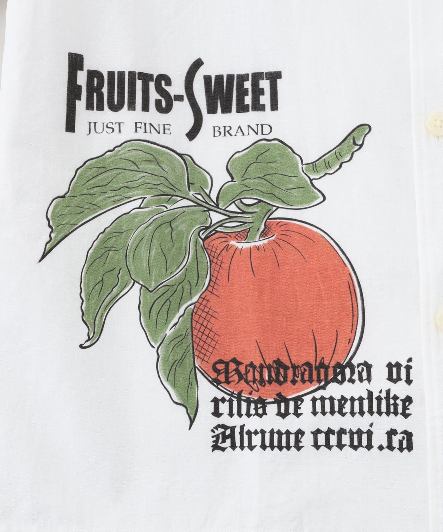 WORK OF ART(ワークオブアート) 別注 Embroidery O/P シャツ（シャツ