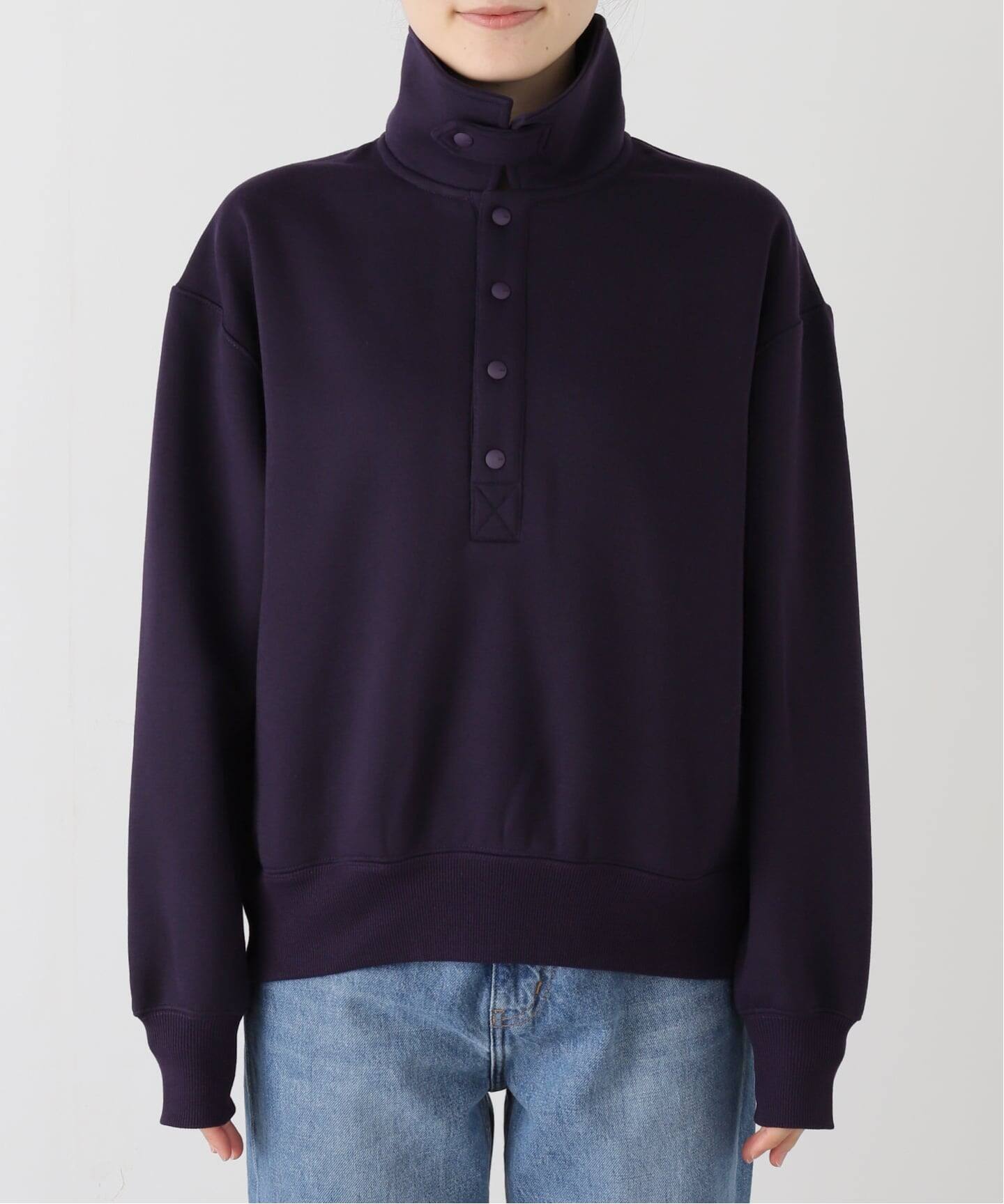 DAIWA PIER 39 TECH SWEAT SNAP PULLOVER BE-53025WL：スウェット 