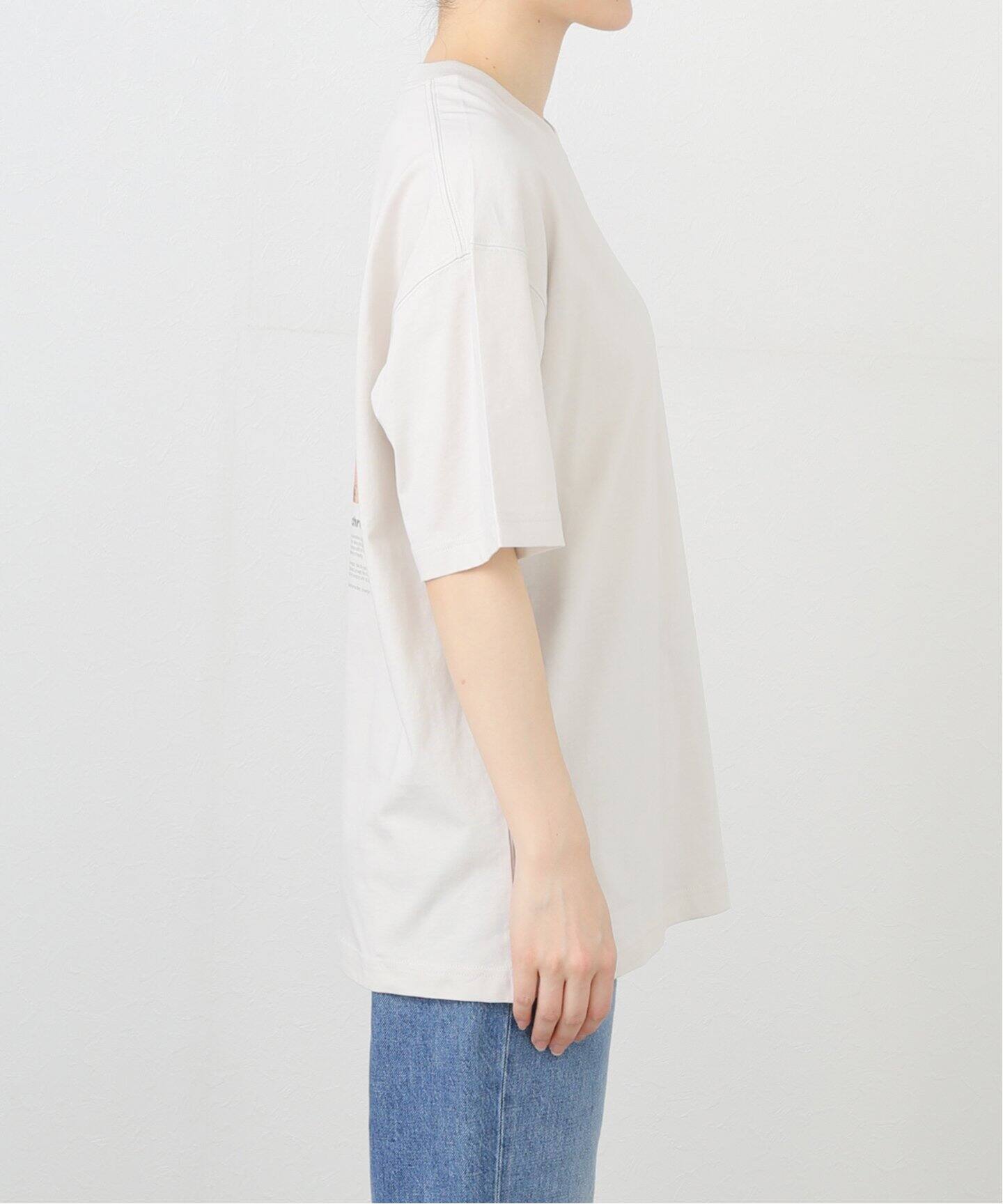 KODAK■Stripe Short Sleeves■送料込 RED KAP/別注 オックスフォード クロップドショートスリーブ