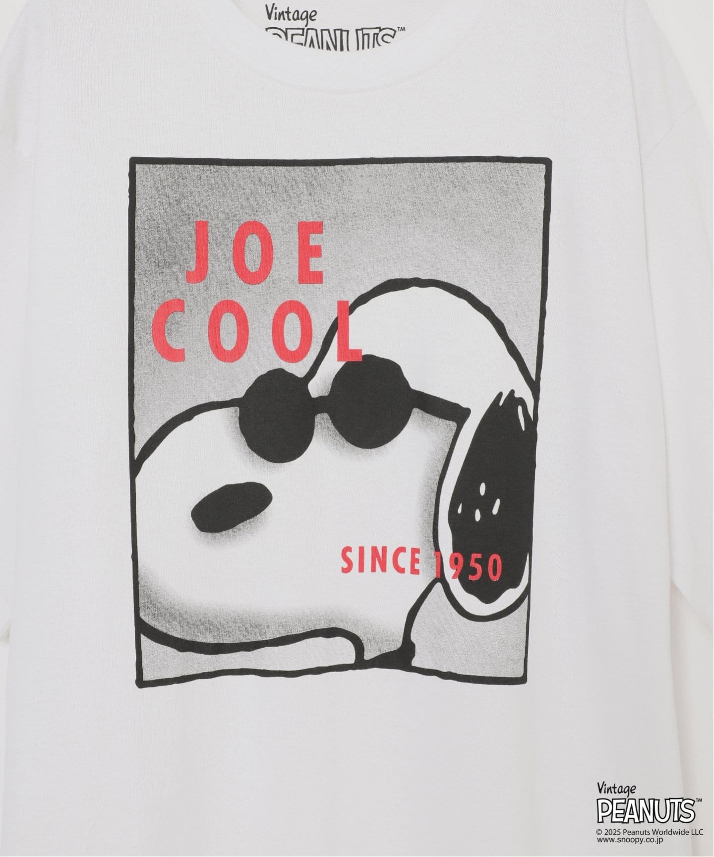 JOHNBULL/ジョンブル PEANUTS JOE COOL T（Tシャツ／カットソー