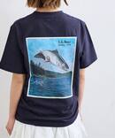 L.L.BEAN/エルエルビーン Beans 1980SS Catalog Tee