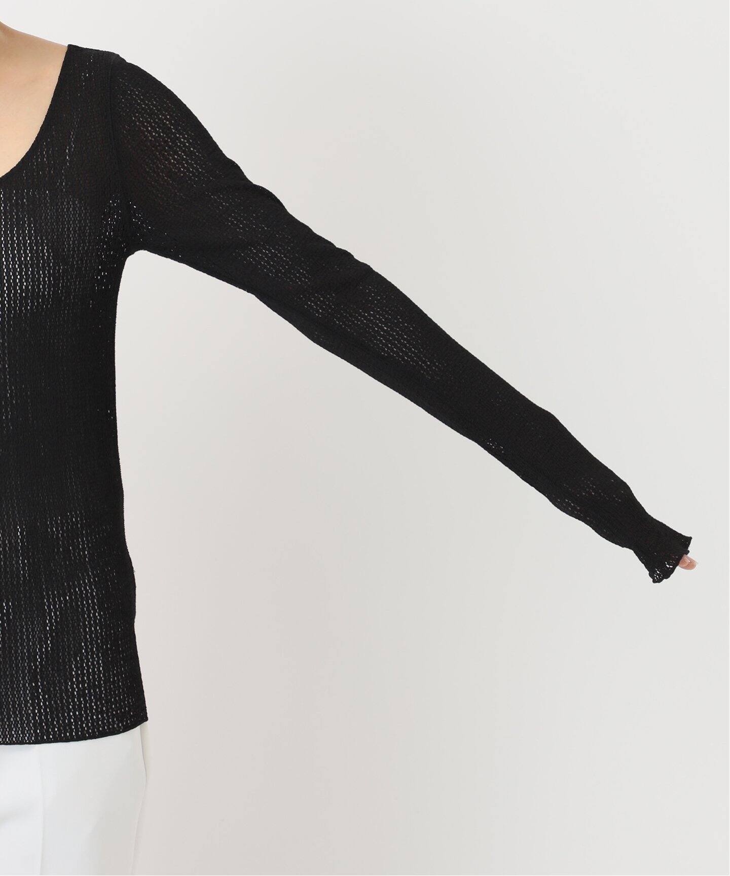 チャームシアーレースプルオーバー（Tシャツ／カットソー）｜NOBLE