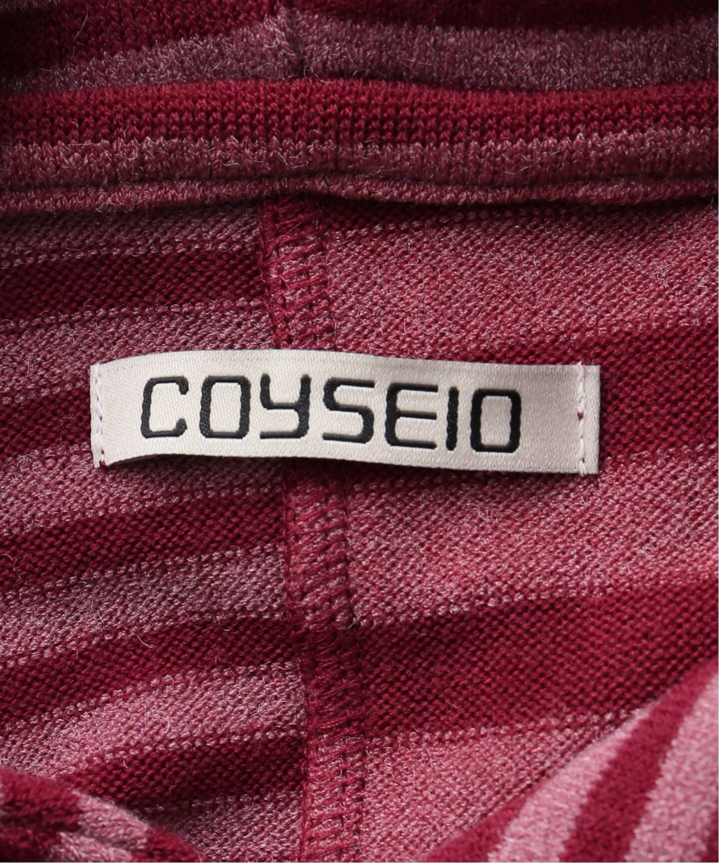 Geek Office / ギークオフィス】COYSEIO / MIXED STRIPE HOODIE