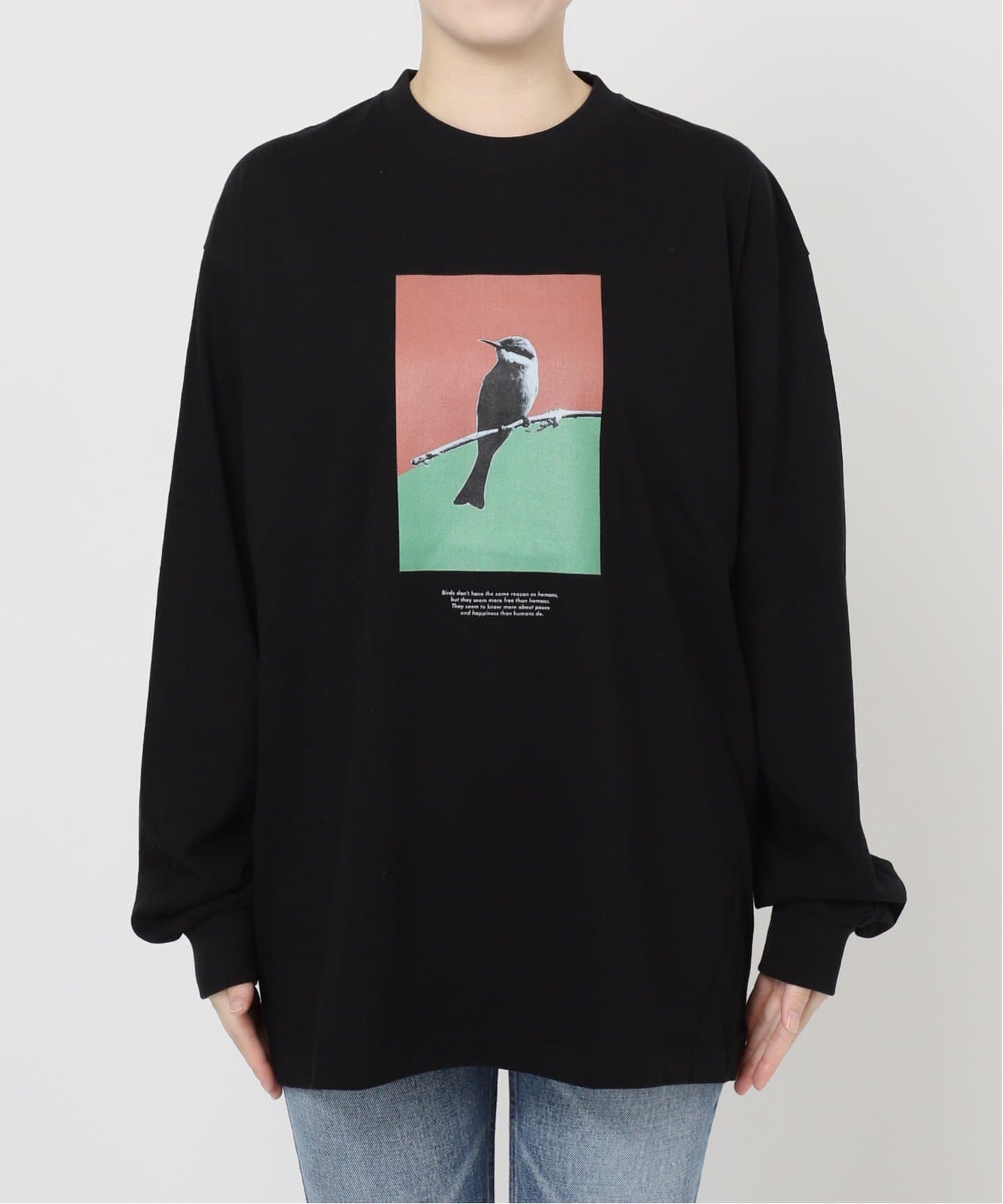 POET MEETS DUBWISE BIRD INKJET：ロンT（Tシャツ／カットソー