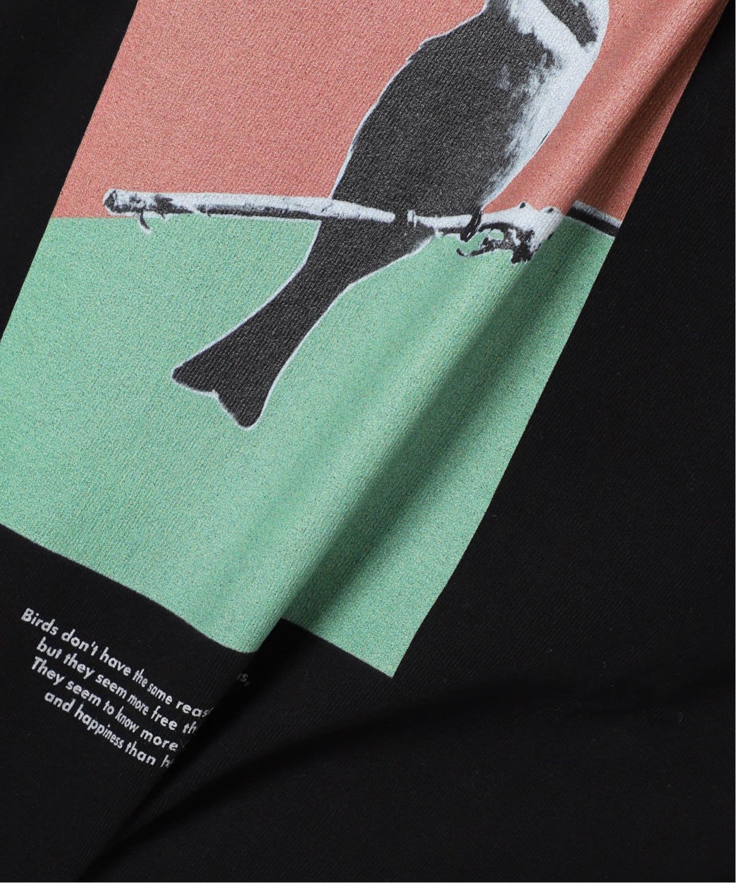 POET MEETS DUBWISE BIRD INKJET：ロンT（Tシャツ／カットソー