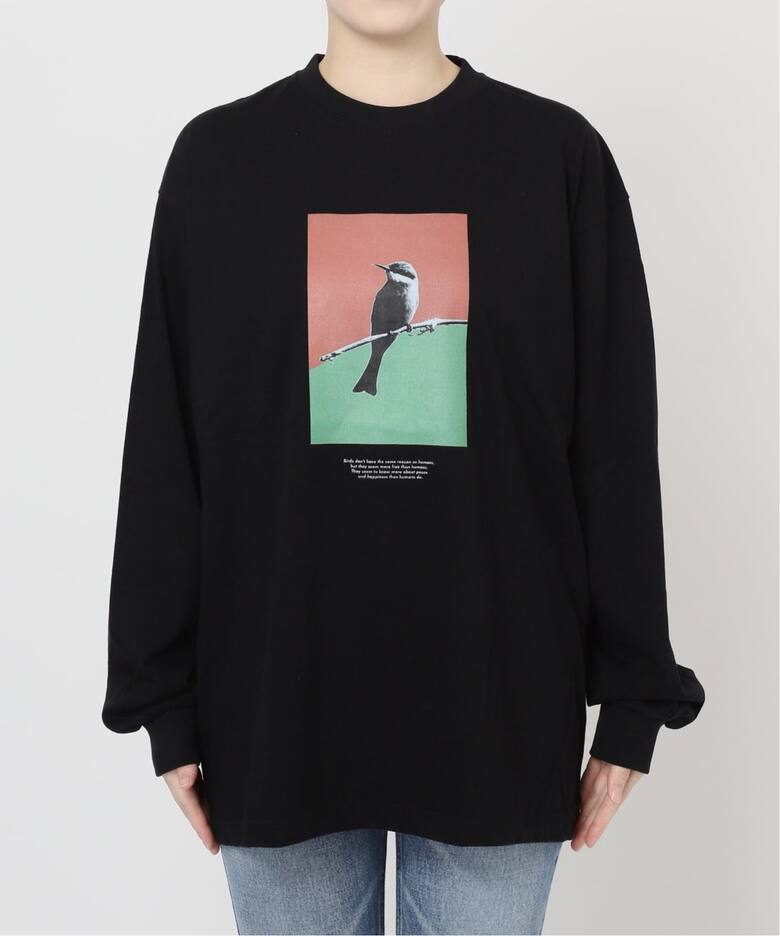 POET MEETS DUBWISE BIRD INKJET：ロンT（Tシャツ／カットソー 