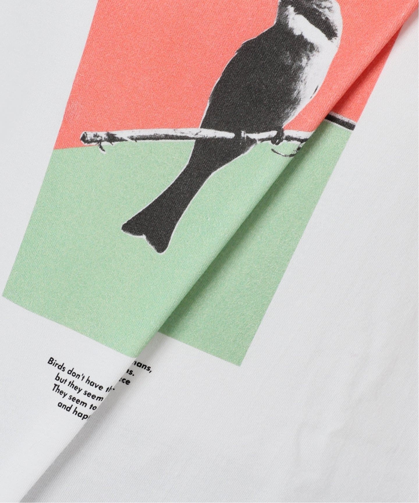 POET MEETS DUBWISE BIRD INKJET：ロンT（Tシャツ／カットソー
