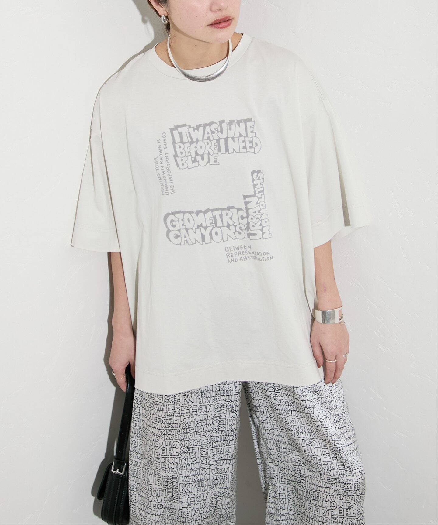 【GAKU*JS】 フロッキーT