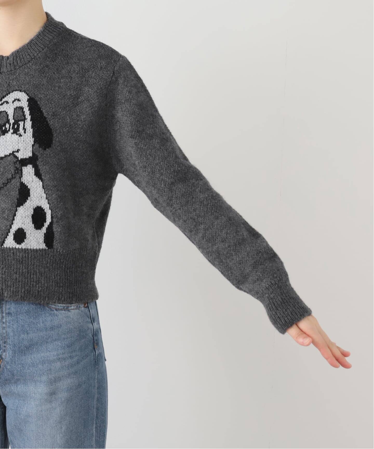 Carne Bollente/カルネボレンテ】 Lady Meets Tramp AW25CAR0101