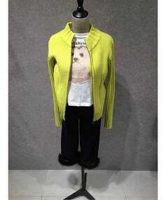 Ashley Williams / アシュリー・ウィリアムズ】 WHITE CROPPED T-SHIRT 