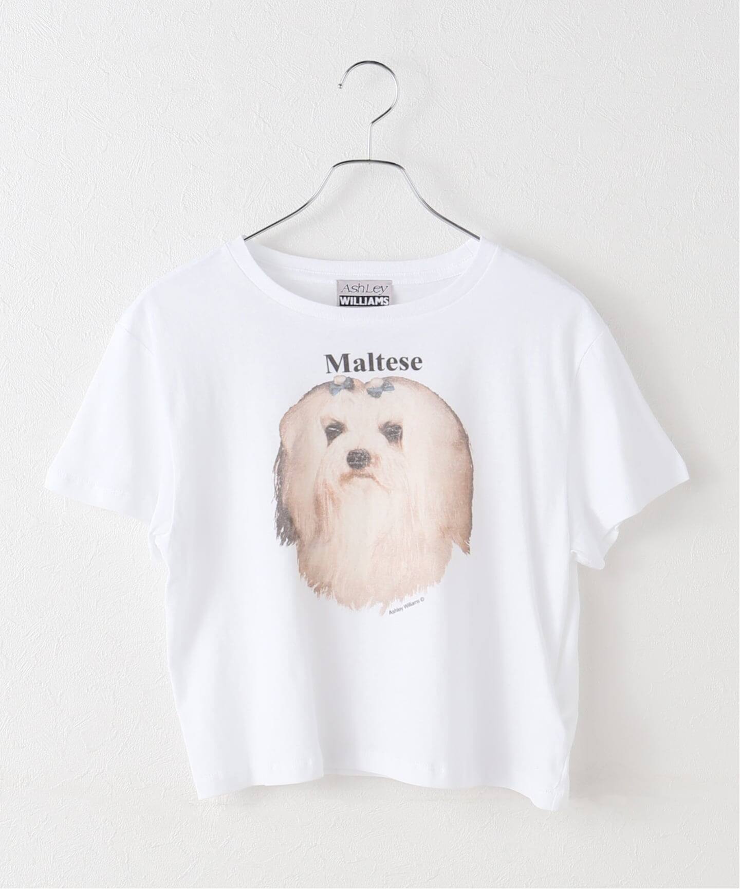 トップス ashley williams Ashley Williams / アシュリー・ウィリアムズ】 WHITE CROPPED T-SHIRT