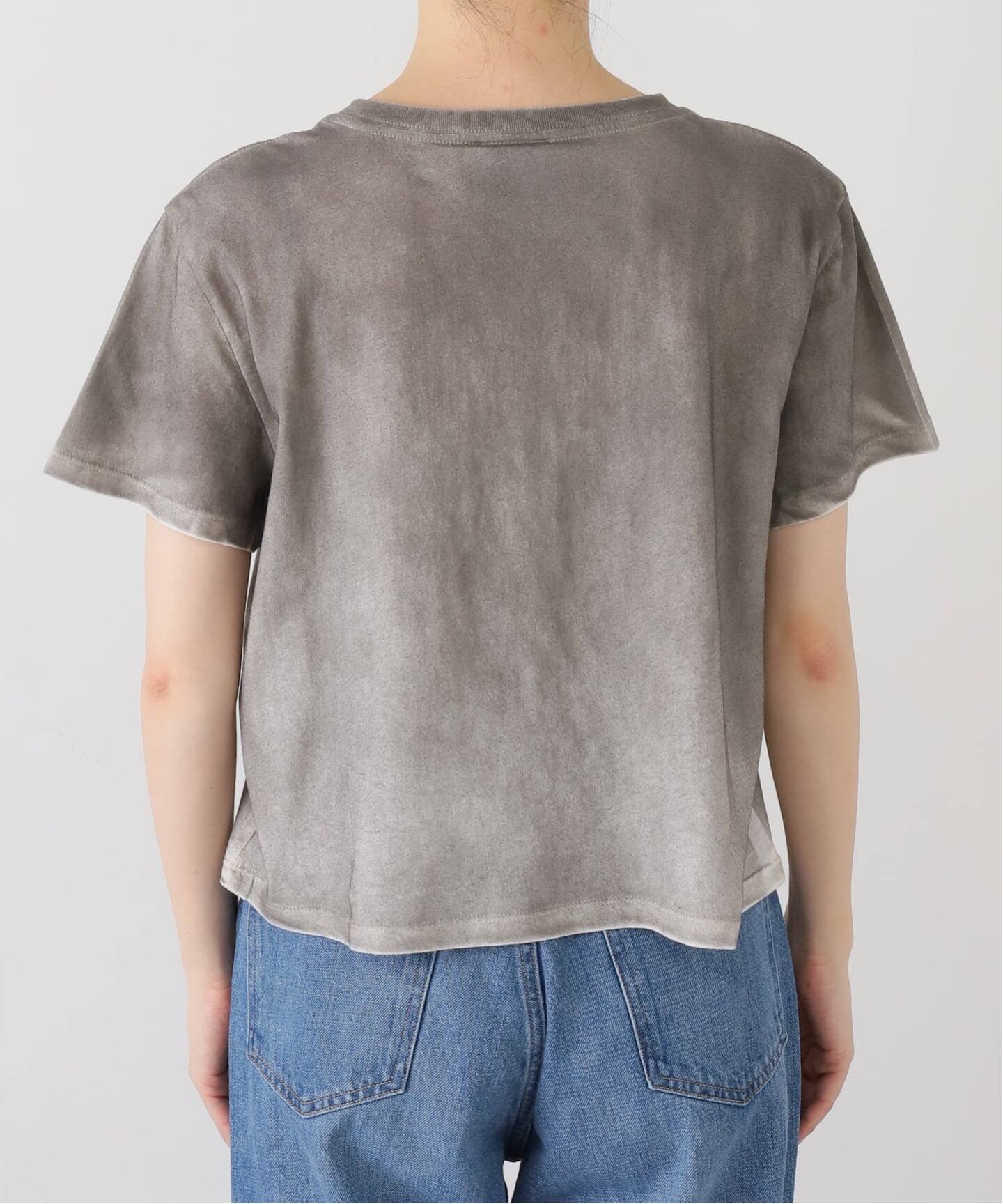 Ashley Williams 】WASHED GREY CROPPED T-SH AWAW250098（Tシャツ
