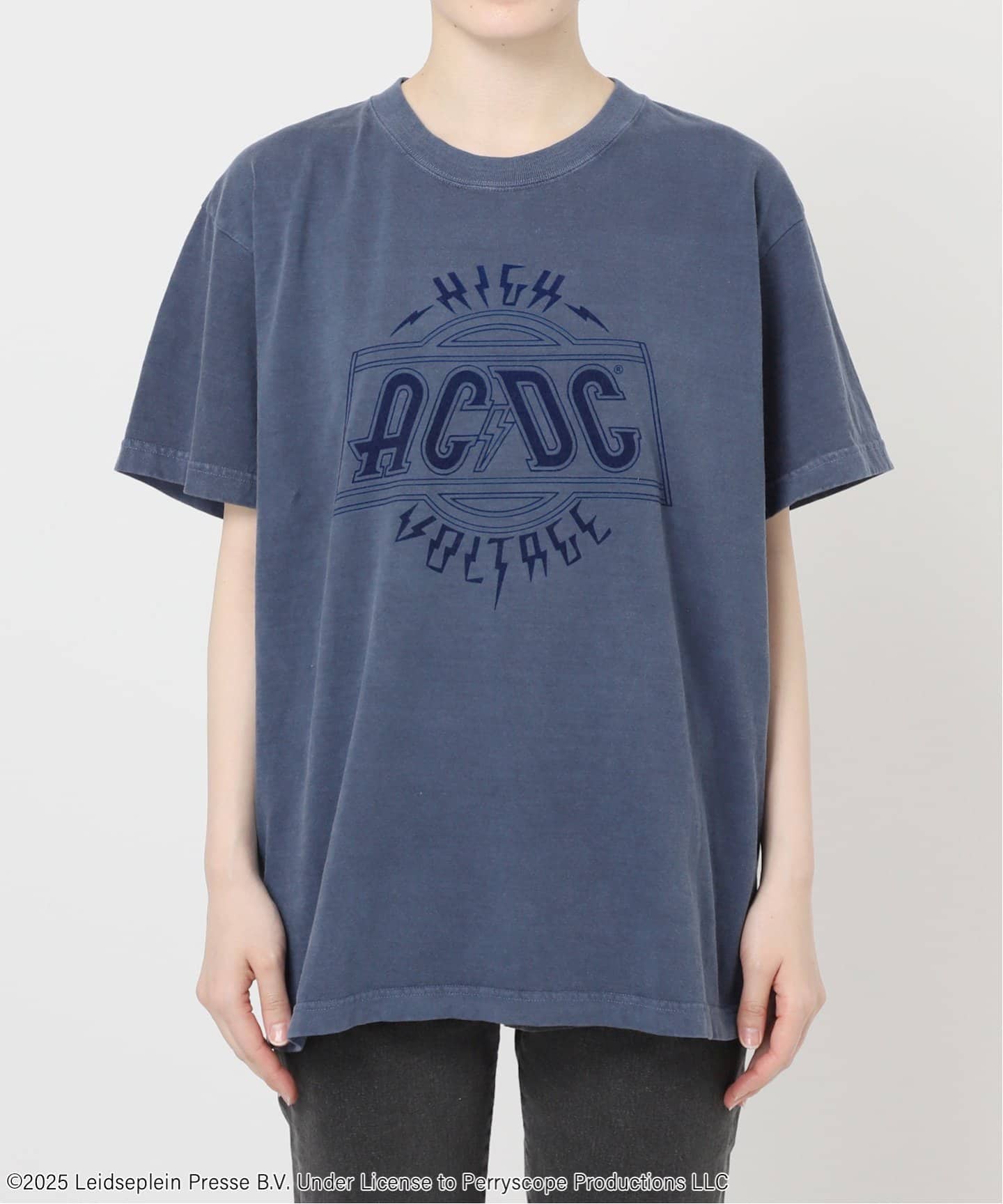 別注【GOOD ROCK SPEED】フロッキーT（Tシャツ／カットソー