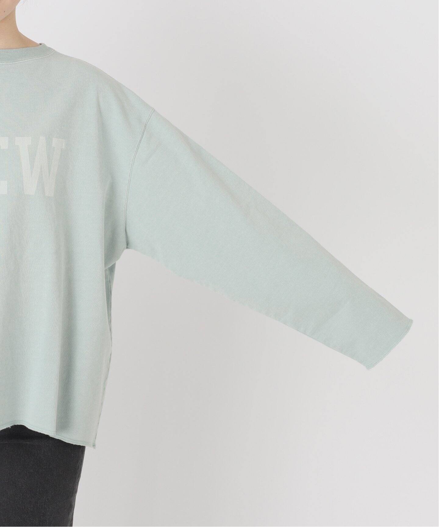 t*h様 holidaycomfortレリュームUSAコットンインレイウラケプル JOURNAL STANDARD relume tシャツ 「追加」「HOLIDAYS COMFORT