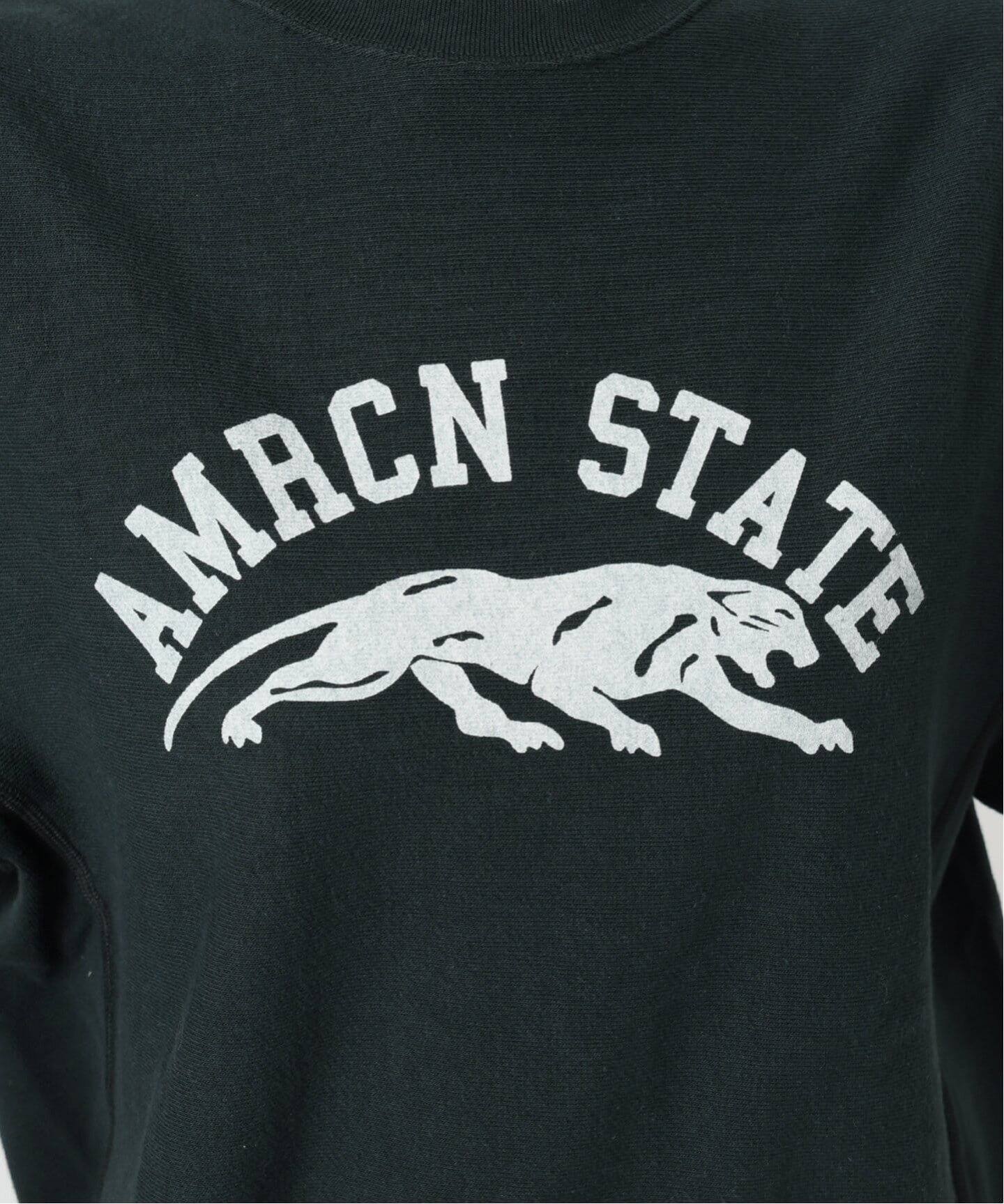 追加【AMERICANA/アメリカーナ】 AMRCN STATE SWEAT（スウェット 