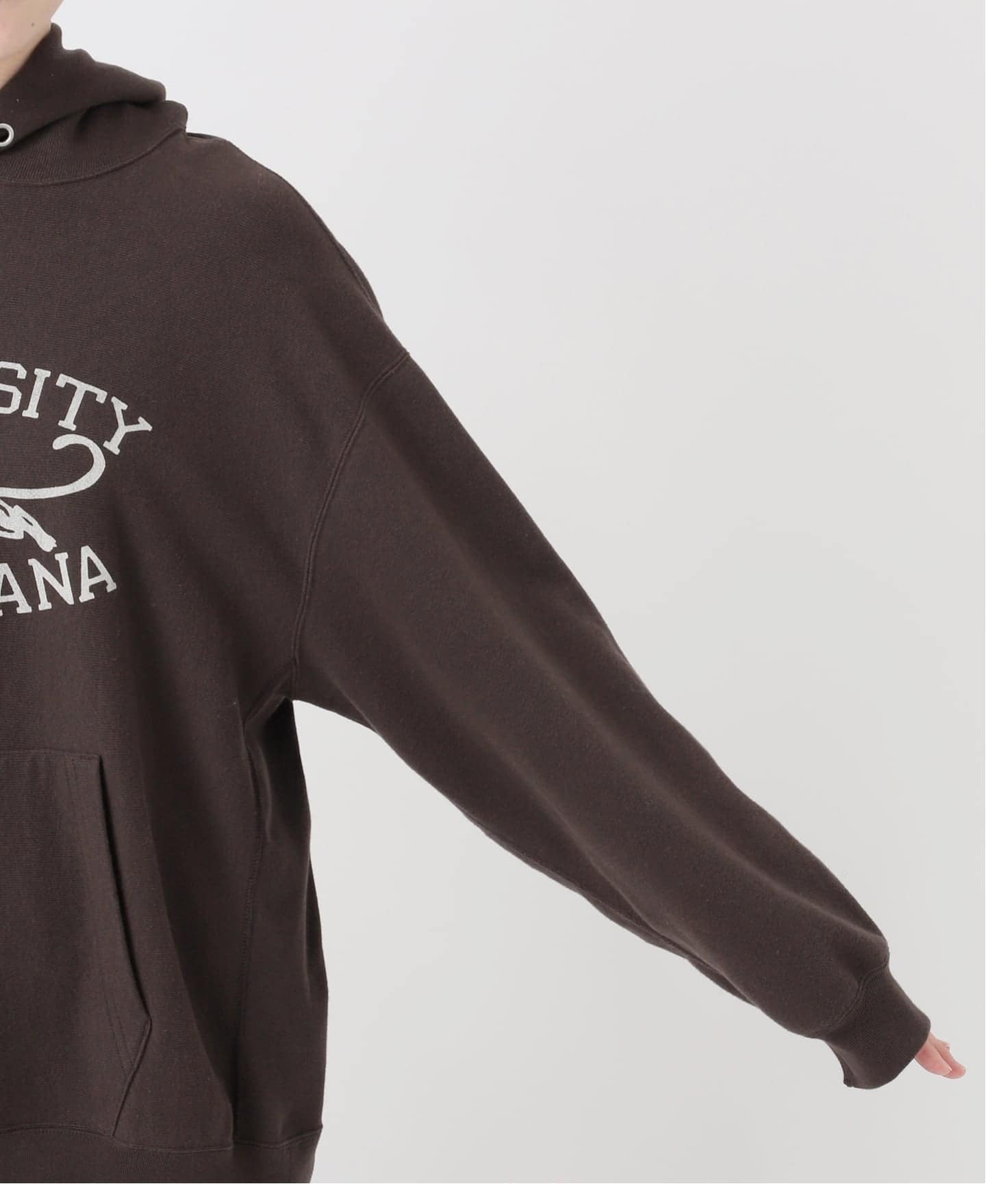 AMERICANA/アメリカーナ】tiger college HOODIE PULLOVER（パーカー
