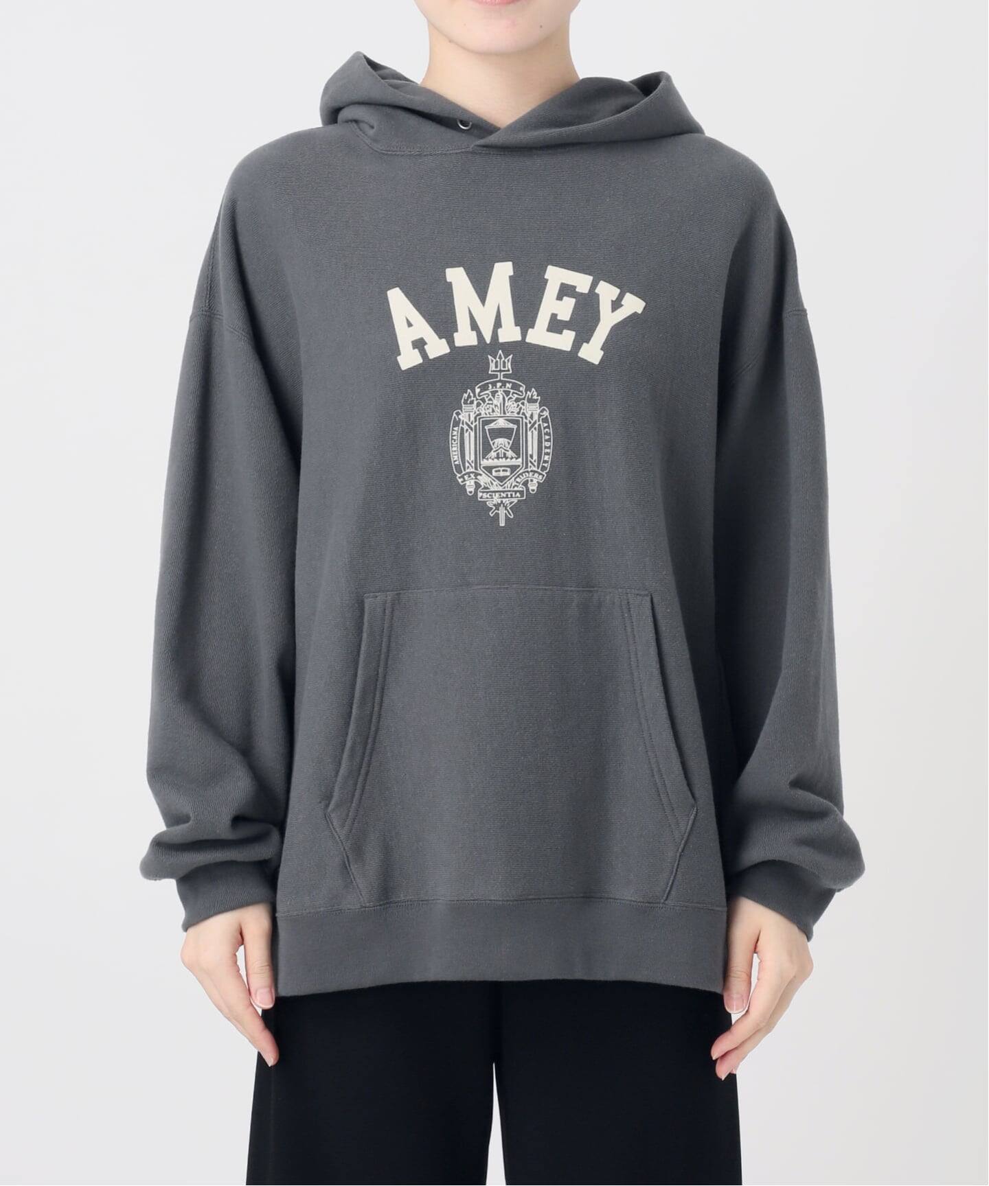 Americana　AMEY　プルオーバー　ロゴパーカー　【M】 AMERICANA/アメリカーナ】AMEY emblem HOODIE PULLOVER（パーカー