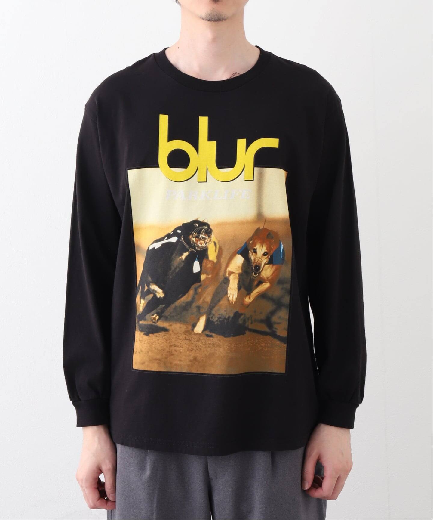 F-LAGSTUF-F / フラグスタフ L/S TEE(xblur)（Tシャツ／カットソー