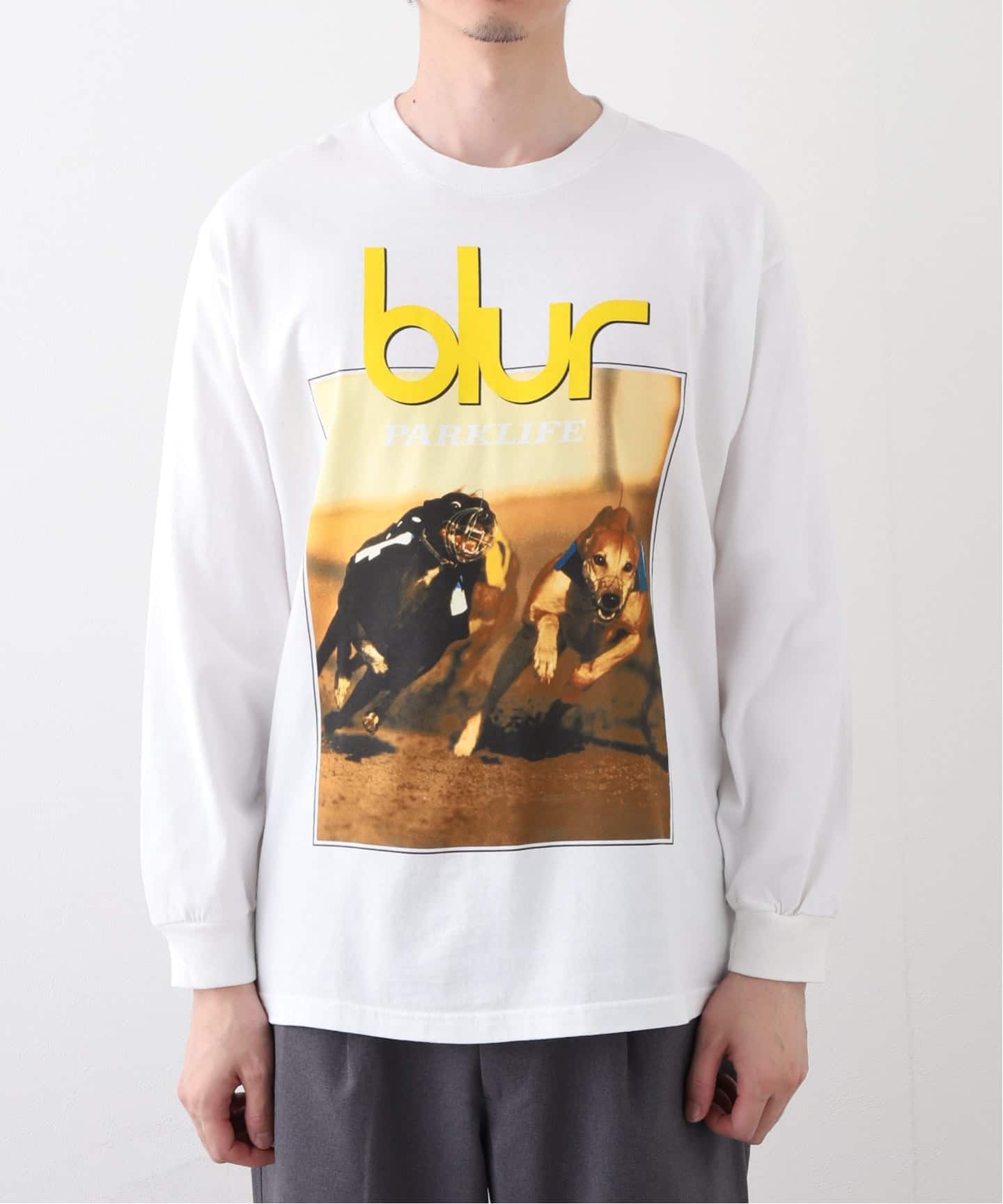 F-LAGSTUF-F / フラグスタフ L/S TEE(xblur)（Tシャツ／カットソー