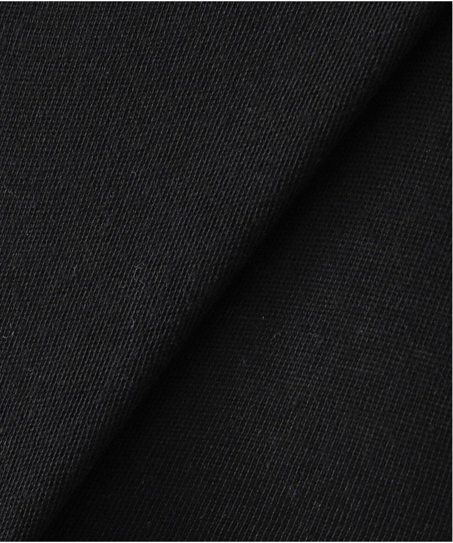 コットンシルクテンジク クループルオーバー(Tシャツ コットンシルクテンジク クループルオーバー(Tシャツ