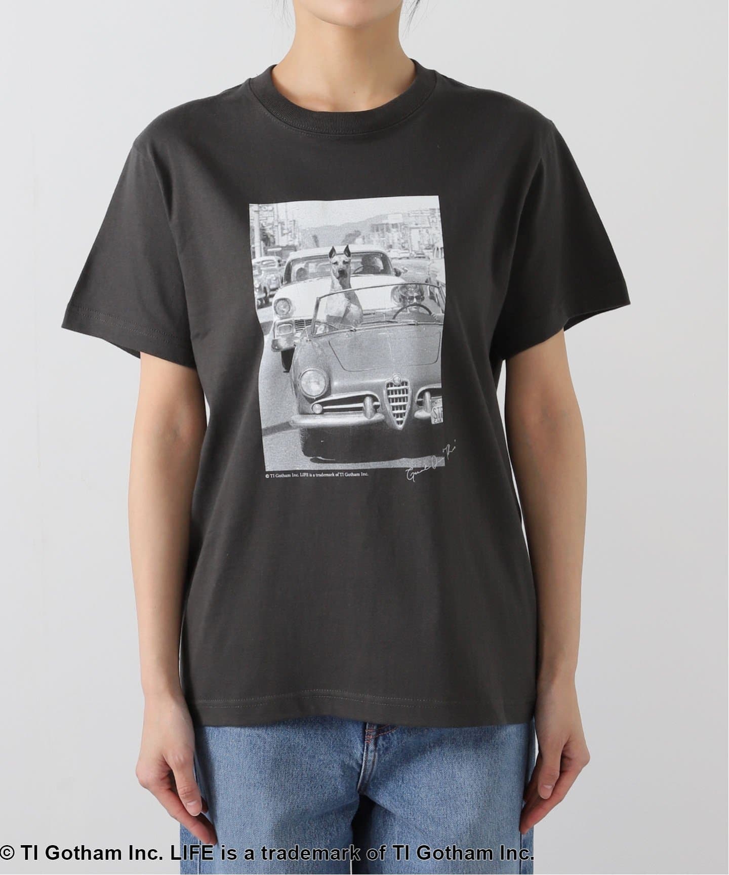 LIFE PICTURE COLLECTION PHOTO Tシャツ（Tシャツ／カットソー）｜IENA
