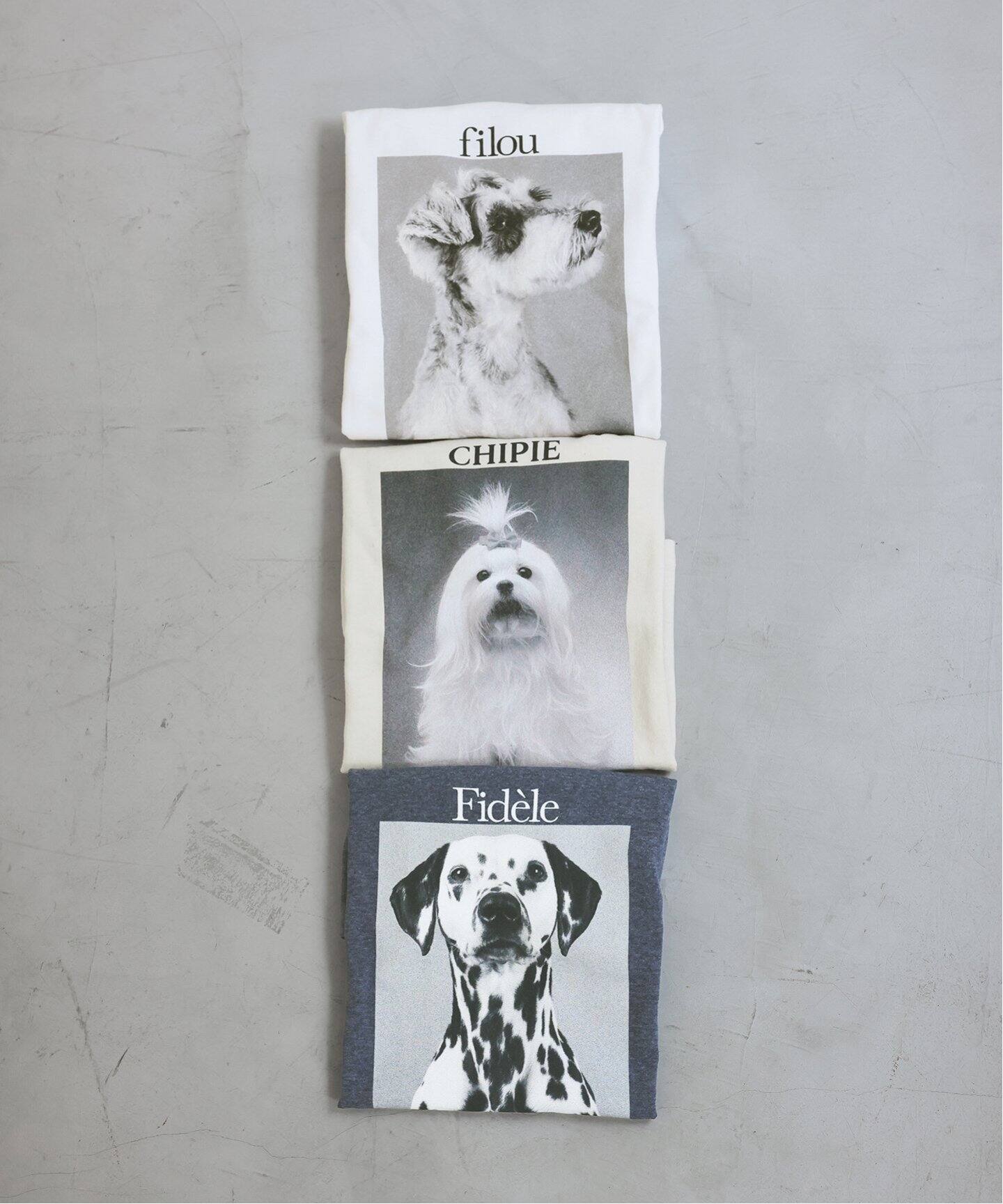 DOG PHOTO TEE（Tシャツ／カットソー）｜SLOBE IENA（スローブ