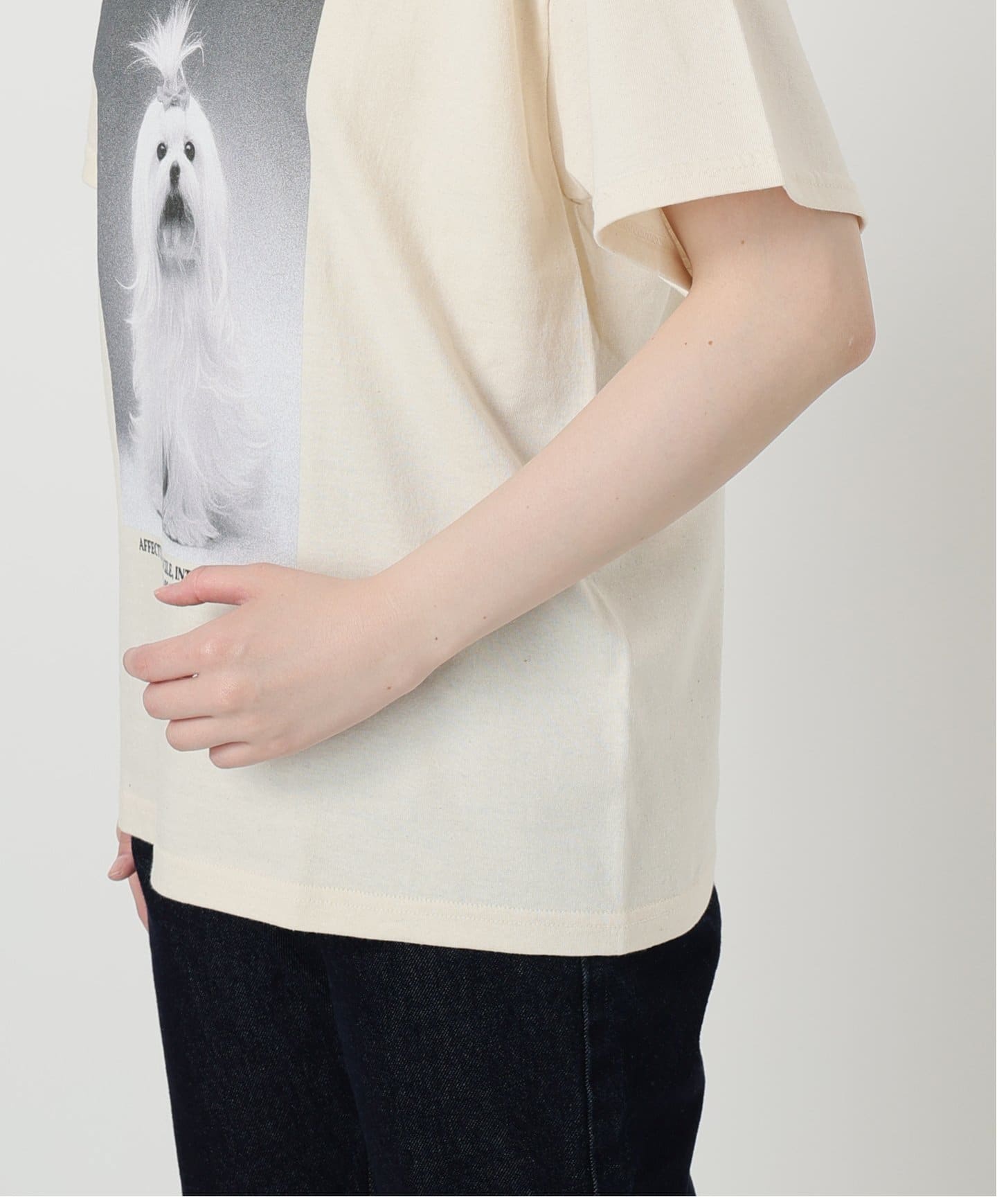 DOG PHOTO TEE（Tシャツ／カットソー）｜SLOBE IENA（スローブ