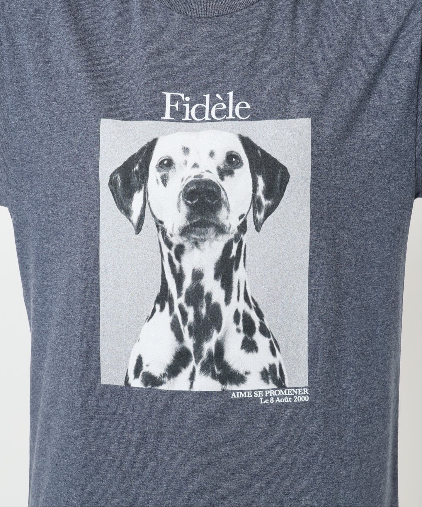 SLOBE IENAスローブイエナdog＆cat Photo Tシャツ ブラック スローブ イエナ SLOBE IENA 《予約》DOG&CAT PHOTO TEE
