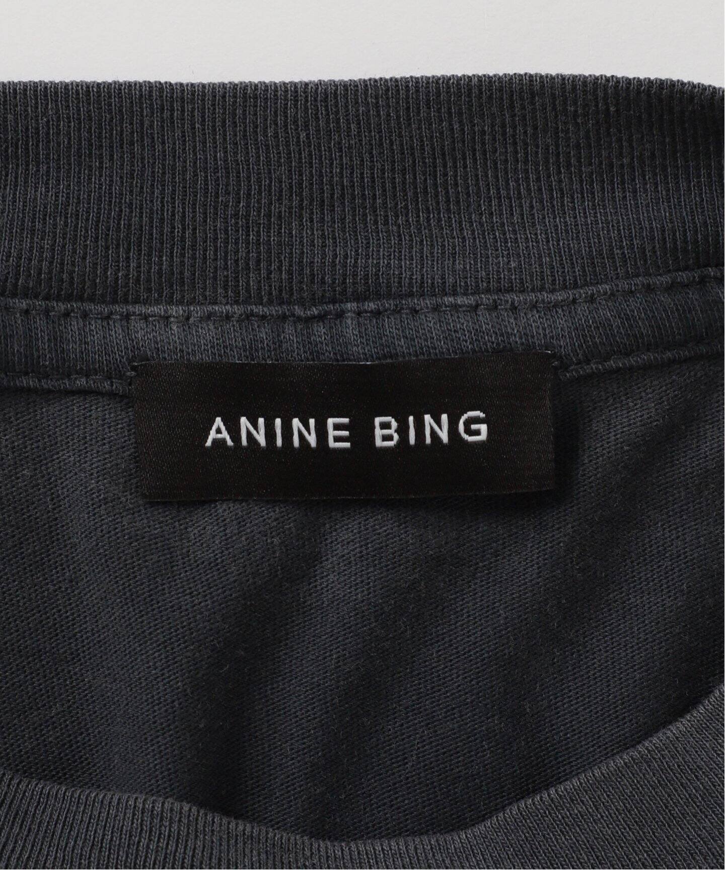 ANINE BING / アニービン ASHTON TEE CONCERT Tシャツ（Tシャツ