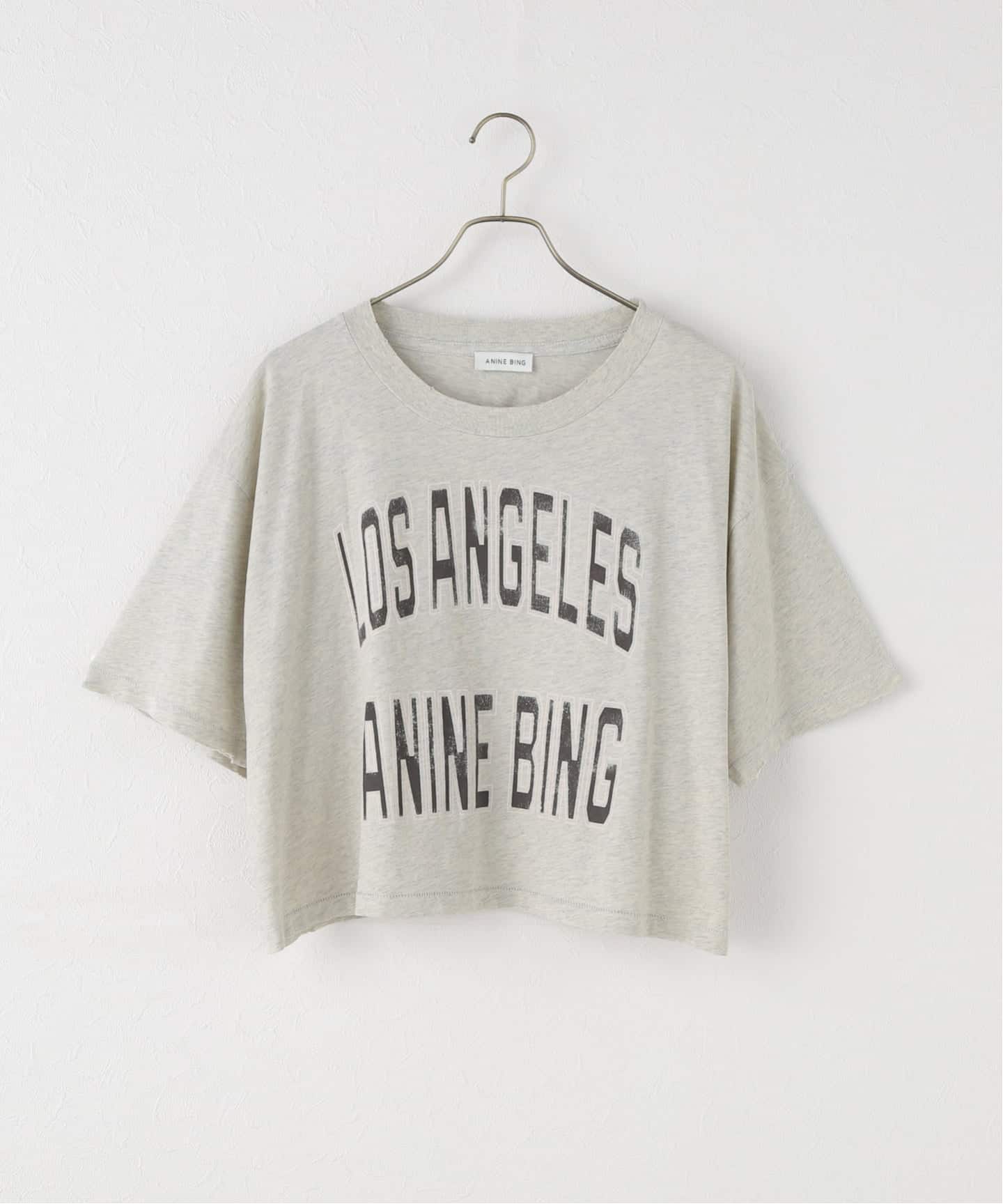 【新品】プラージュ　アニービン　ロゴTシャツ ANINE BING / アニービン ASHTON TEE SPIRIT Tシャツ（Tシャツ