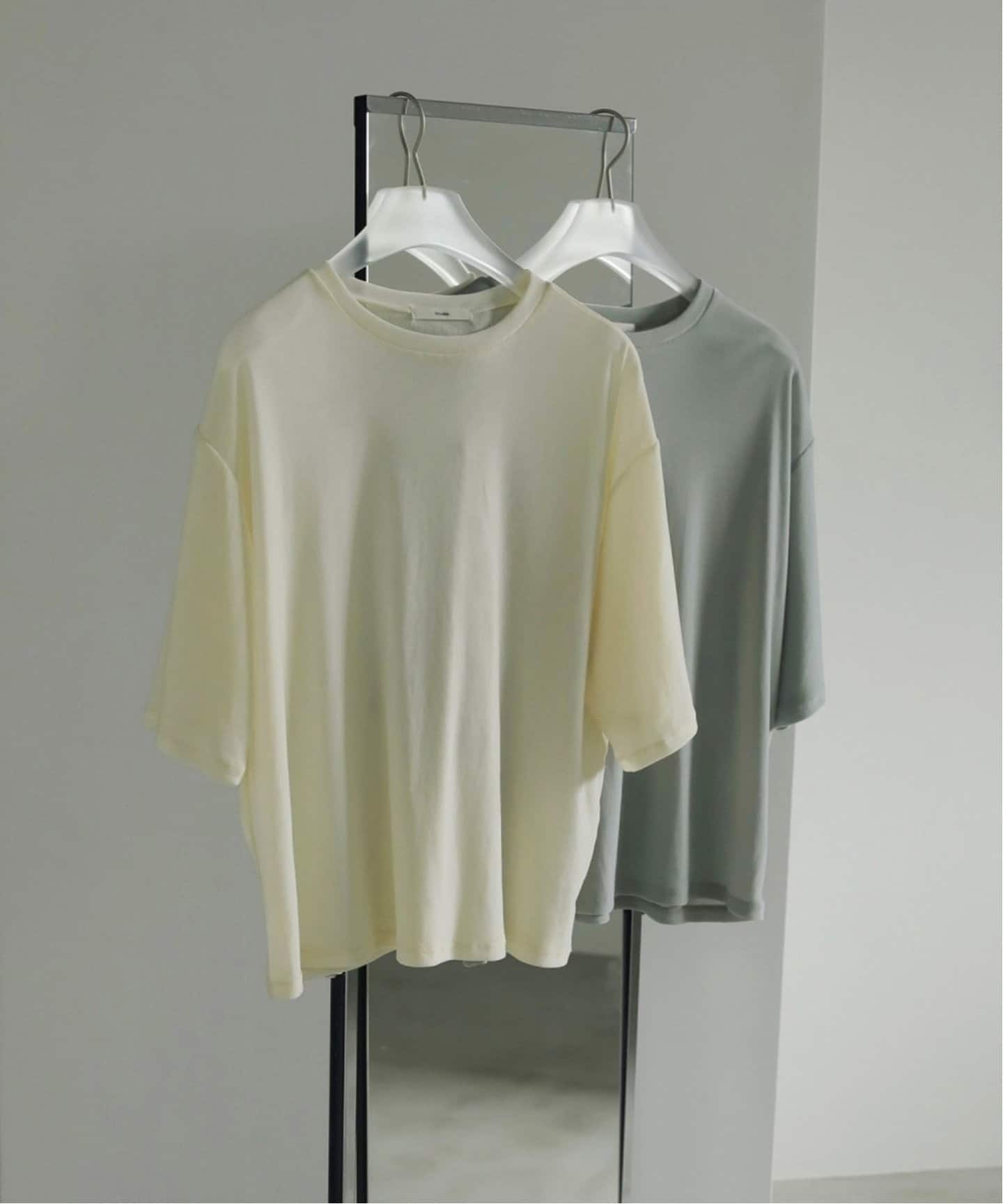 anuke アンヌーク Sheer Velour T-shirts セール】Sheer Velour T-shirts（Tシャツ/カットソー）｜anuke