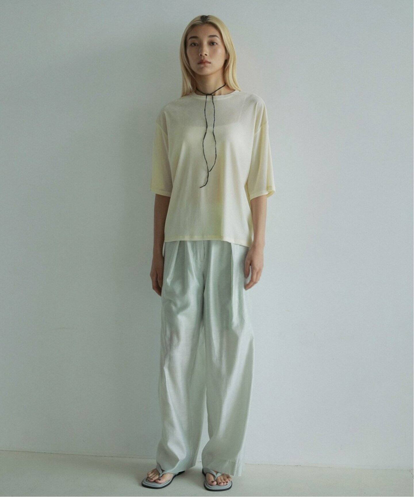 anuke アンヌークSheer Velour T-shirts anuke tシャツ Sheer Velour T-shirts レディース : ZOZOTOWN