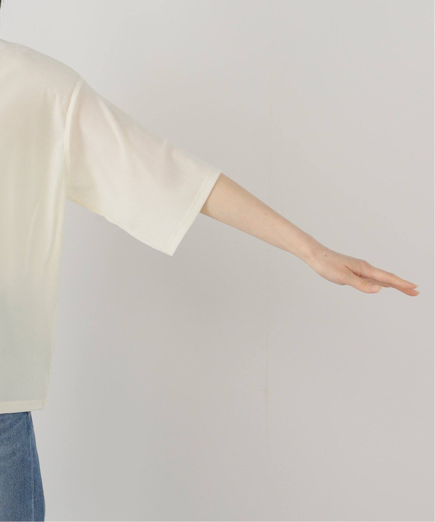 anuke Sheer Velour T-shirts（Tシャツ／カットソー）｜BOICE