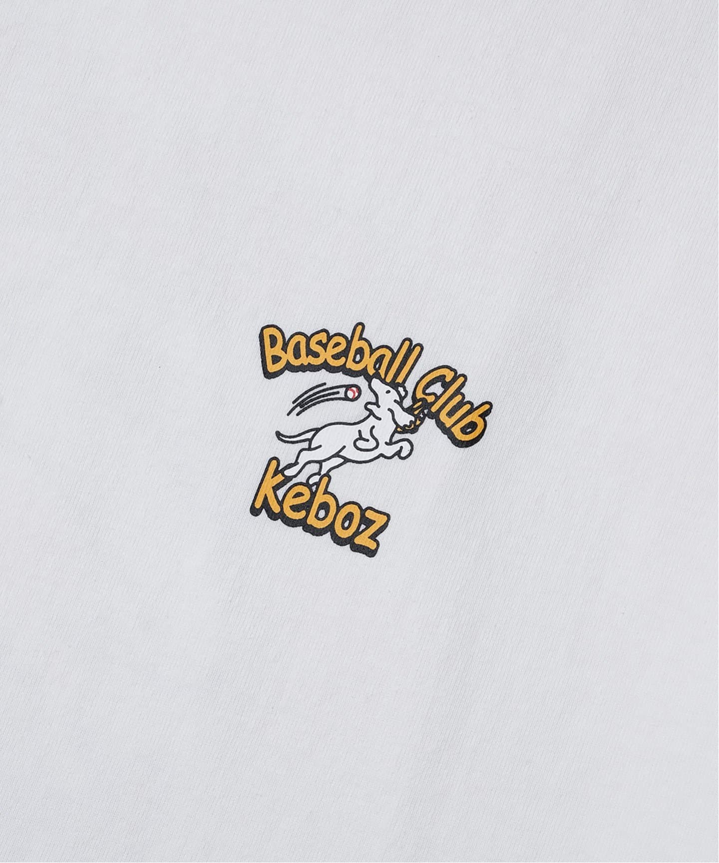 BDR3 S/S TEE（Tシャツ／カットソー）｜KEBOZ（ケボズ）の通販
