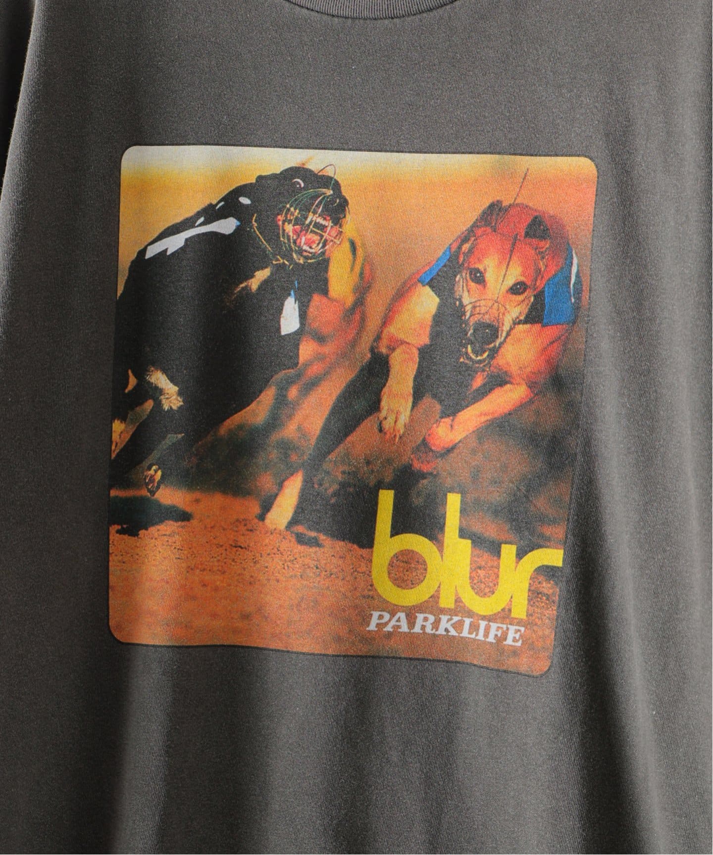 INSONNIA PROJECTS(インソニア プロジェクト) for EDIFICE 別注 blur