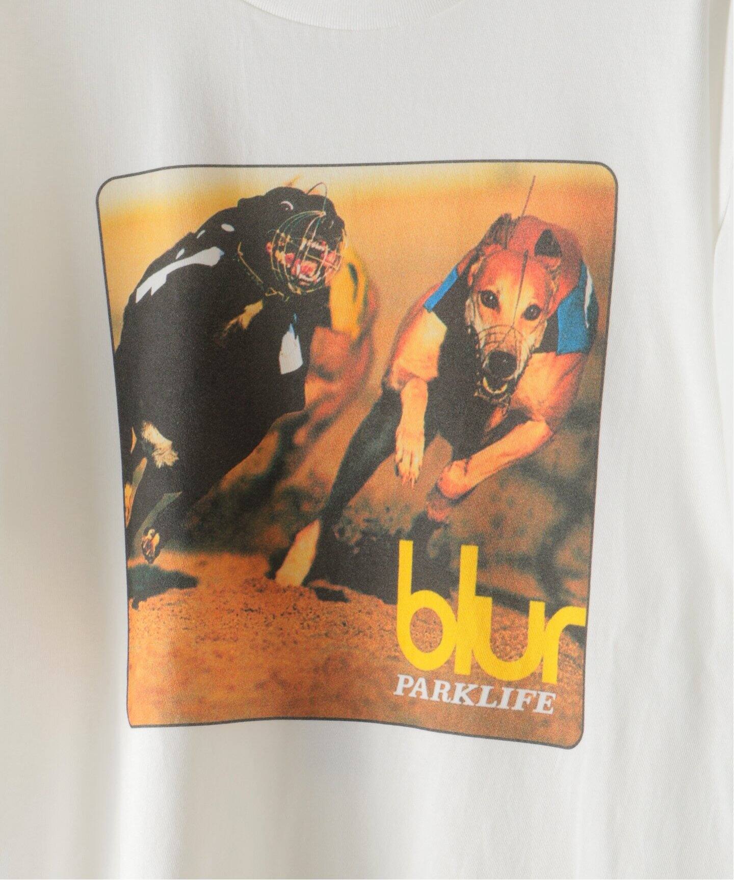 INSONNIA PROJECTS(インソニア プロジェクト) for EDIFICE 別注 blur