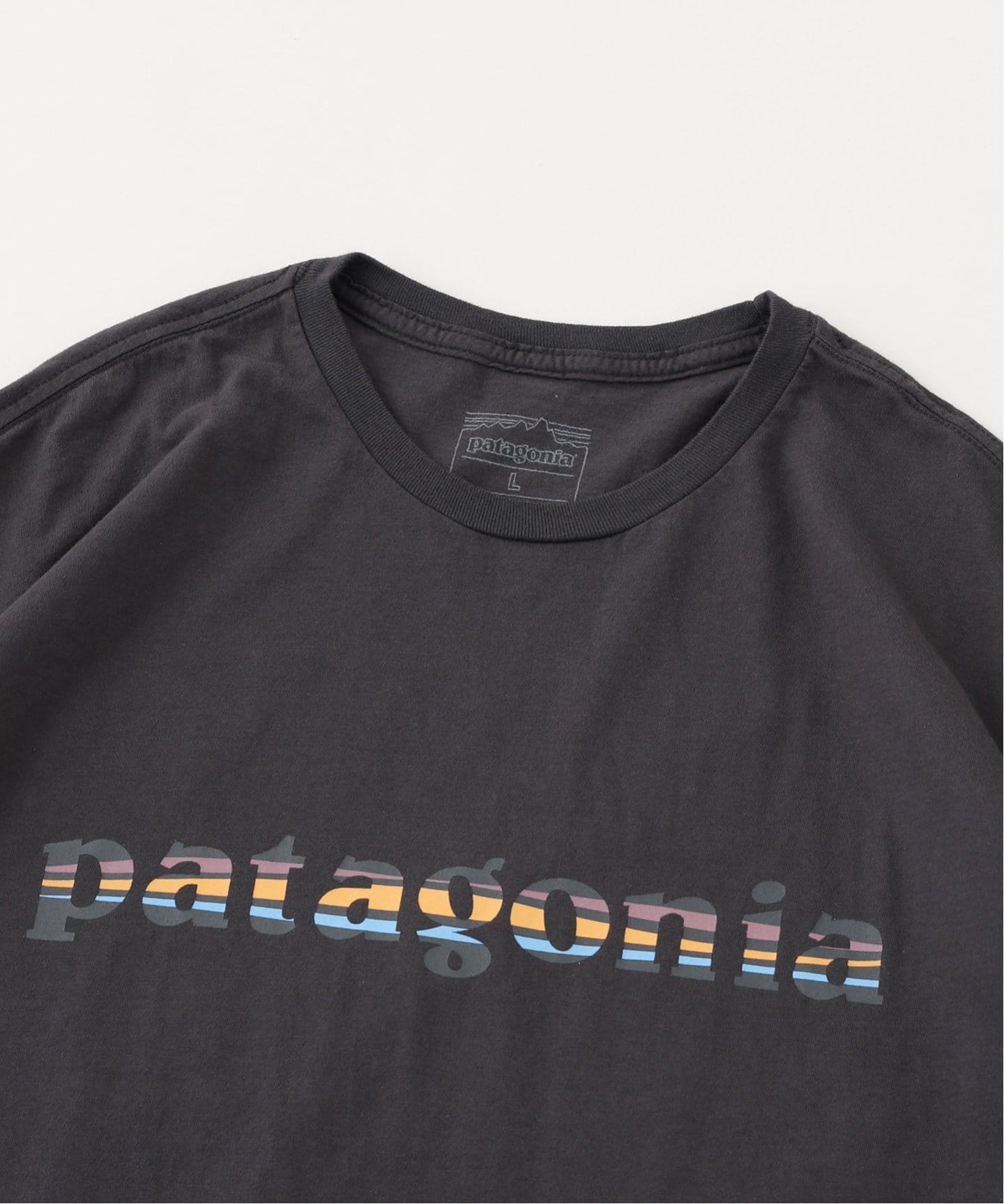 patagonia(パタゴニア) Ms 73 Text Logo Organic Tシャツ（T