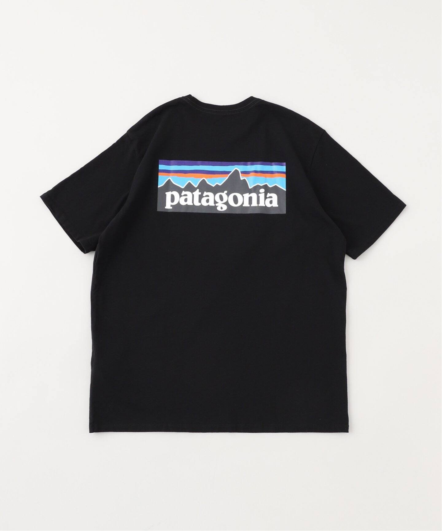 patagonia(パタゴニア) Ms P-6 Logo Responsibili-Tシャツ（Tシャツ