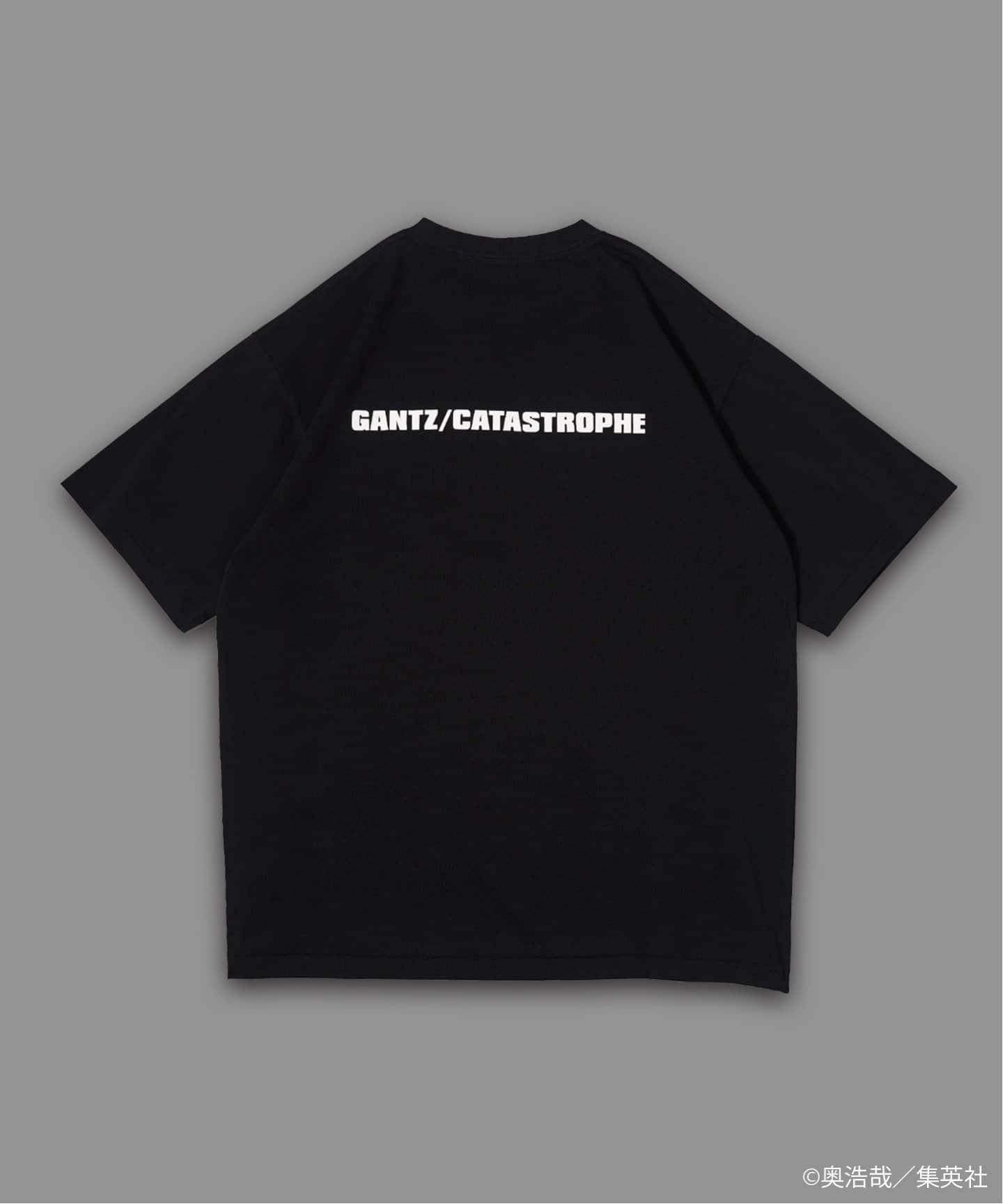 GANTZ / ガンツ 417別注 COLOR WORKS Tシャツ（Tシャツ／カットソー